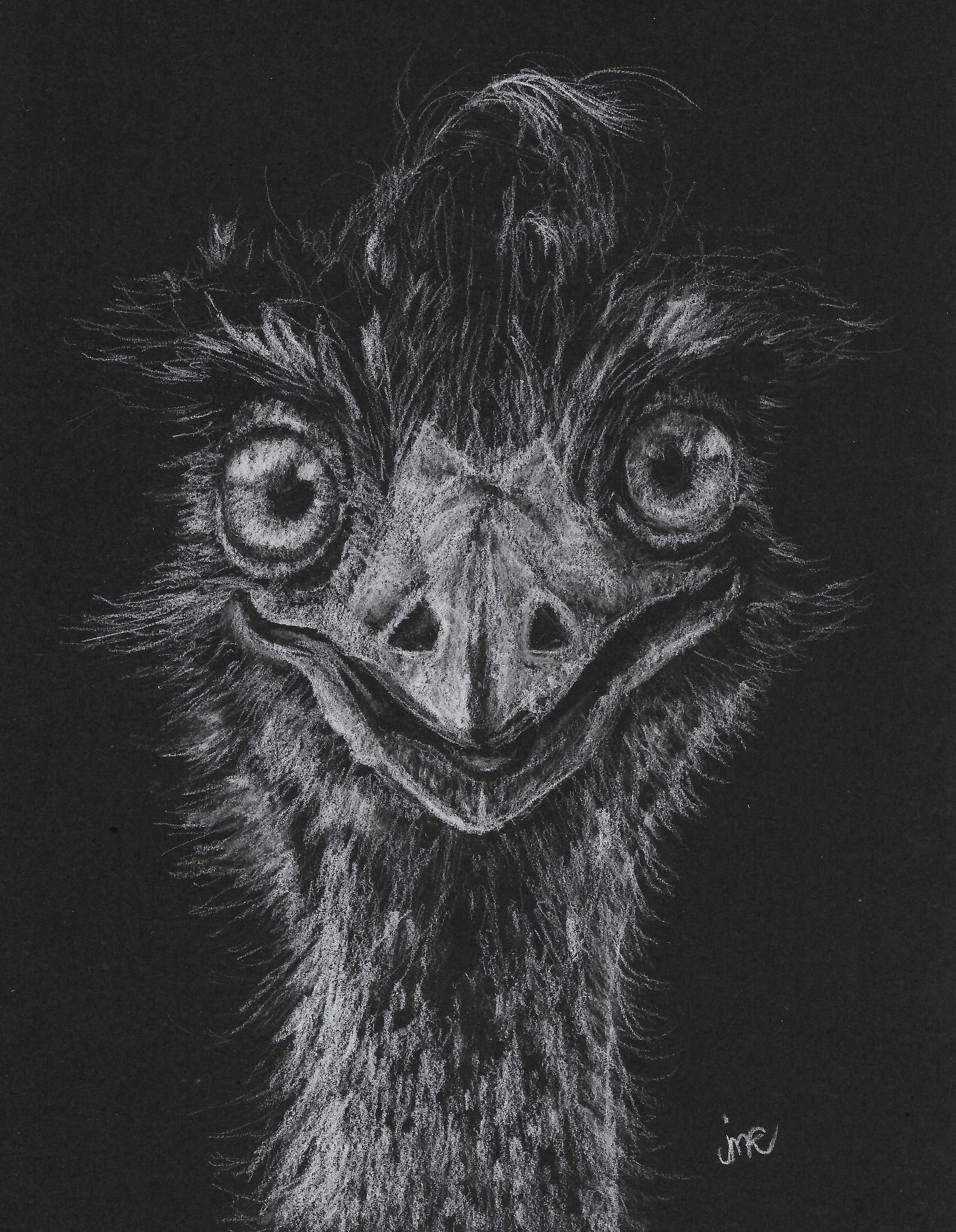 Emu in white-s.jpg