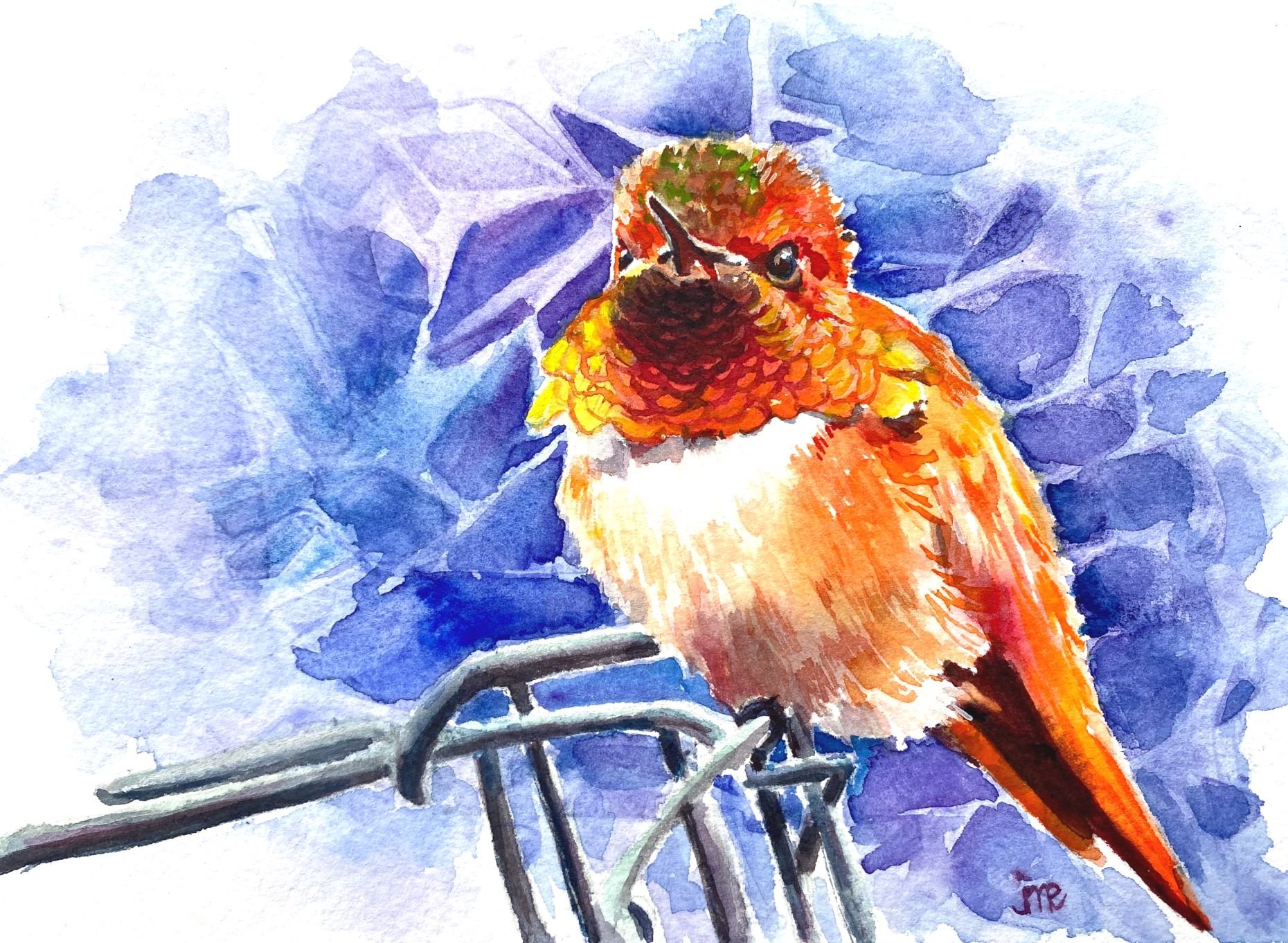 Orange Hummingbird on a cage