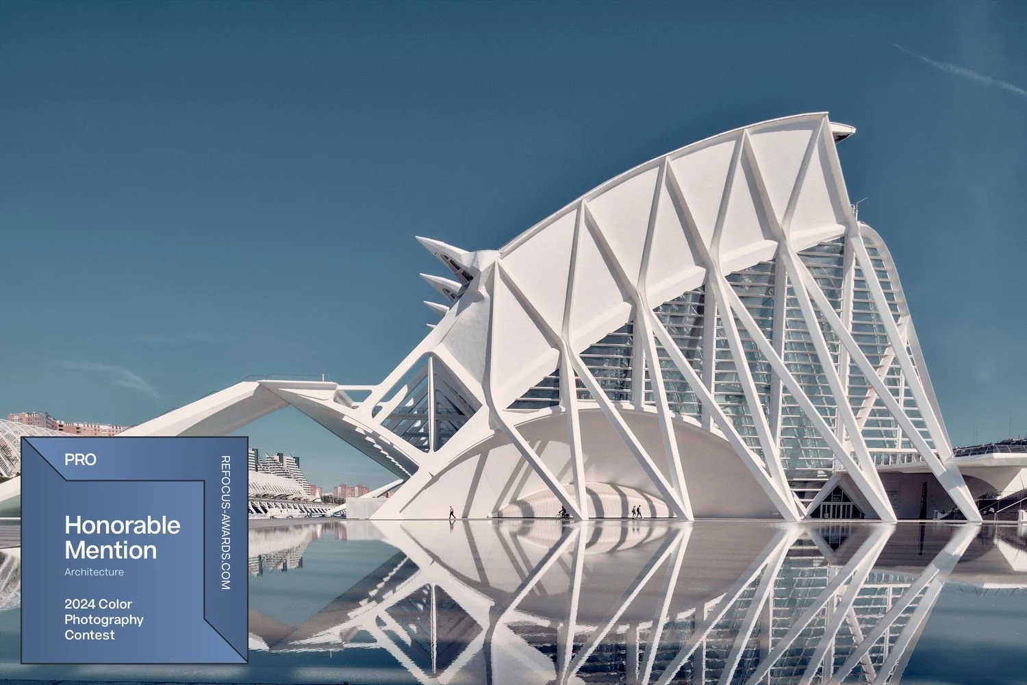 honorable-mention-ciudad-de-las-artes-y-las-ciencias-valencia-badge-3.jpg