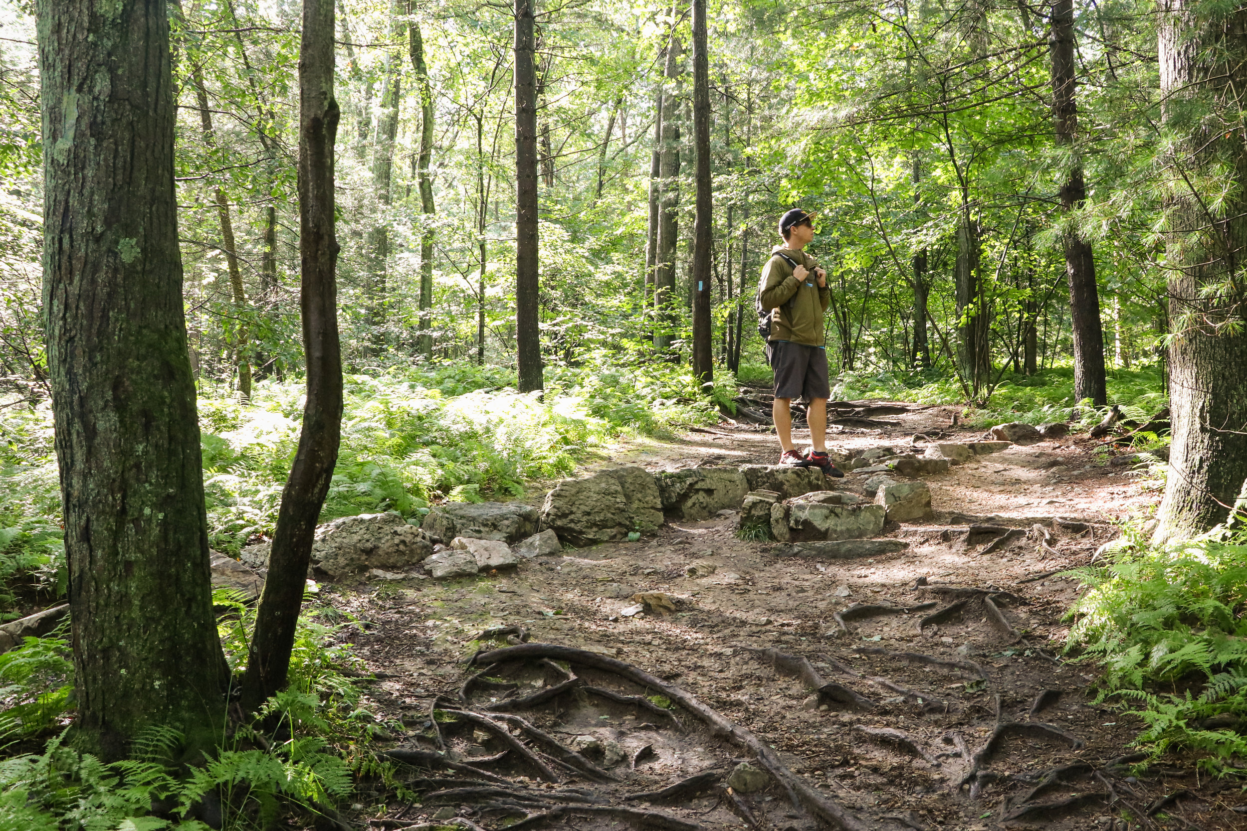 High-Kick-Photography-Hiking-Pine-Grove-Furance-Pennsylvania-Pole-Steeple-Trail-Outdoor-Active-Lifestyle-Portrait-LR-1.jpg