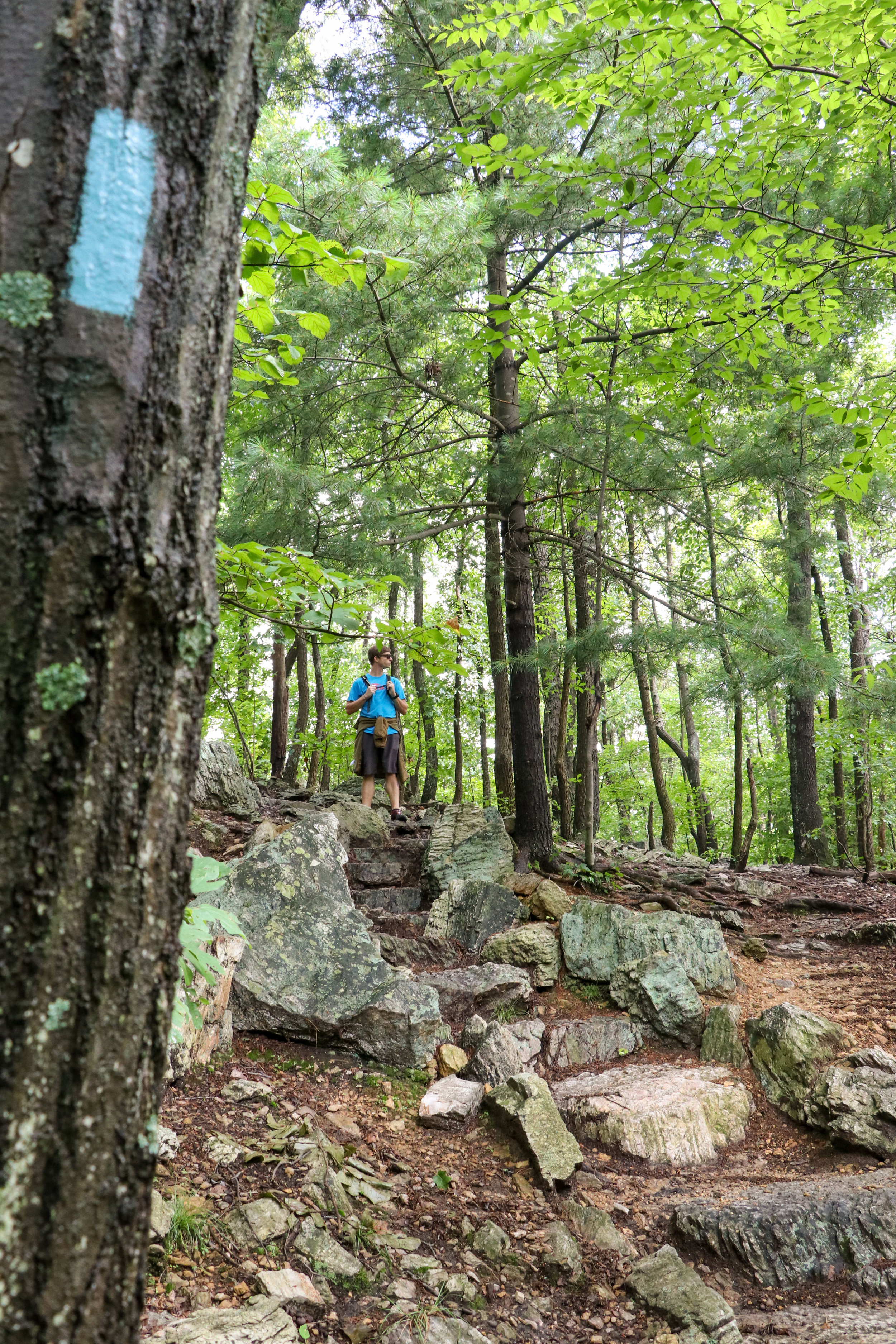High-Kick-Photography-Hiking-Pine-Grove-Furance-Pennsylvania-Pole-Steeple-Trail-Outdoor-Active-Lifestyle-Portrait-LR-3.jpg