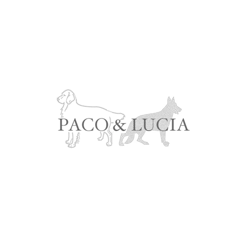 PACO2.jpg