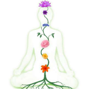 image (1).png