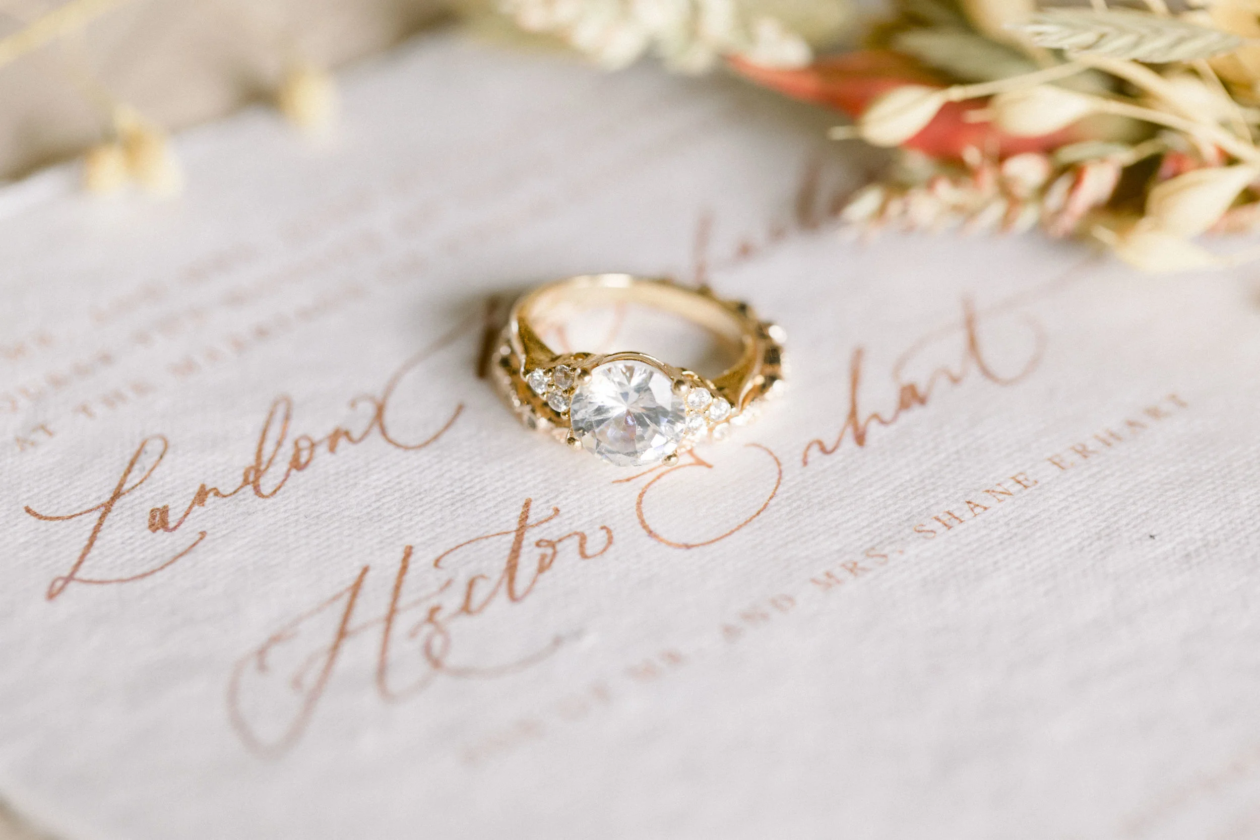 Photo by Jenn Sutton Photography