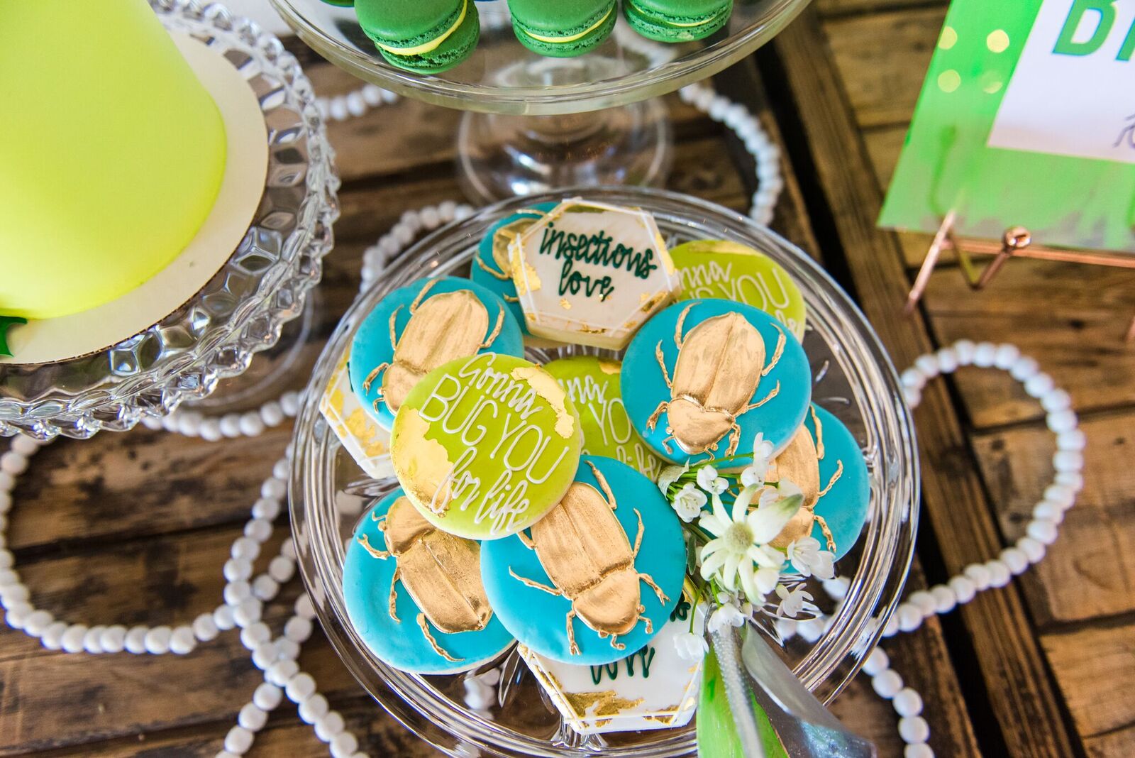 Bug Cookies.jpeg