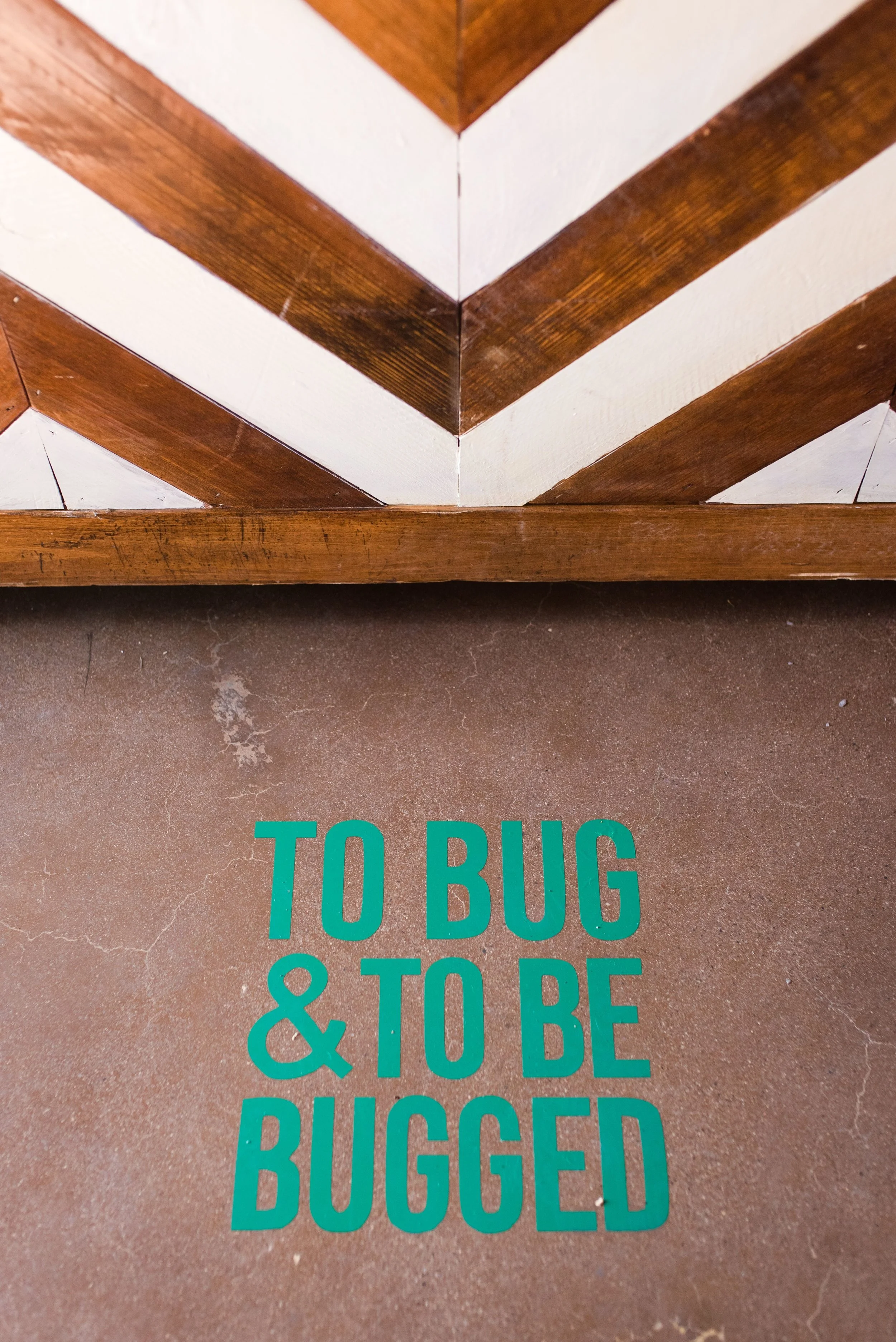 To Bug and To Be Bugged.jpeg