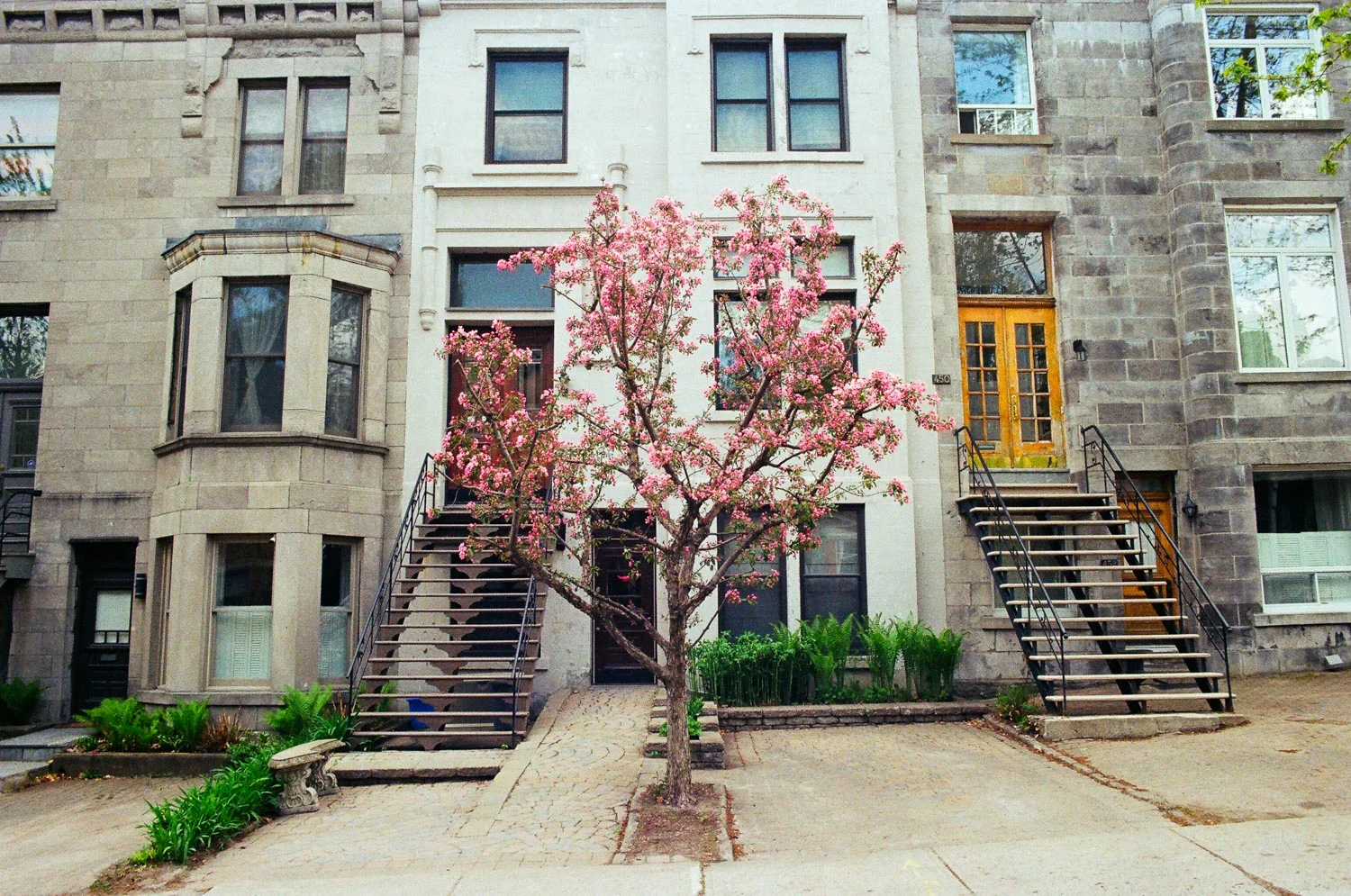 80370014.jpg