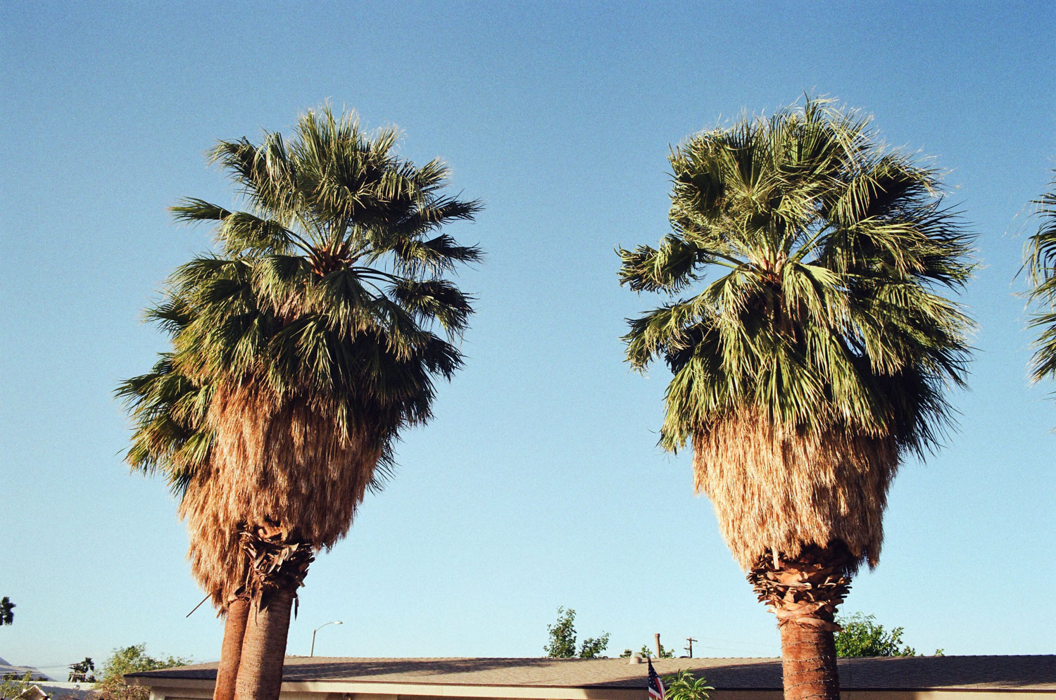 untitled-2.jpg