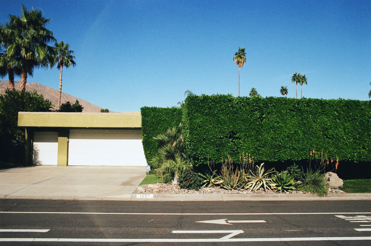 untitled-21.jpg