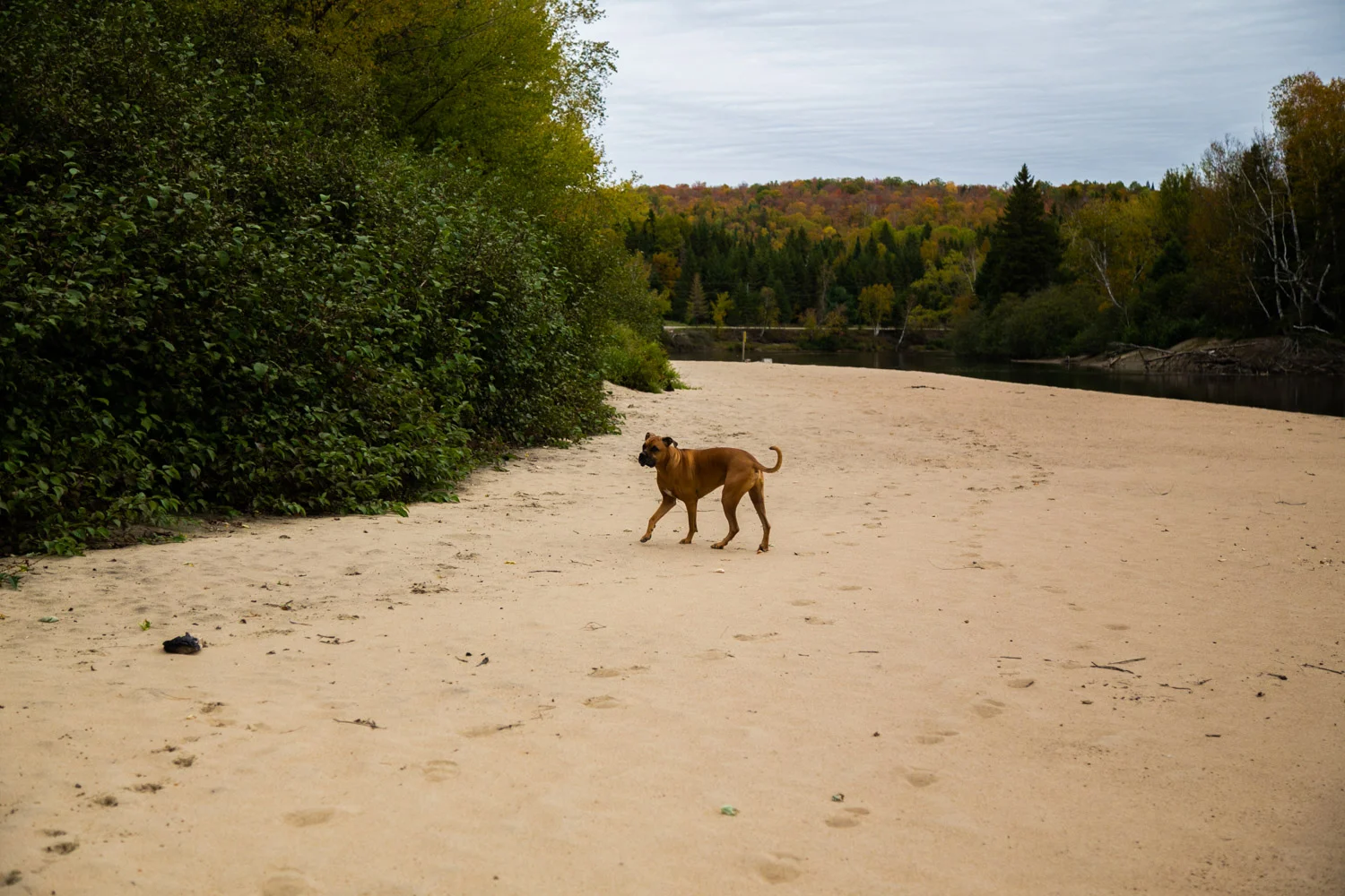 untitled-5.jpg