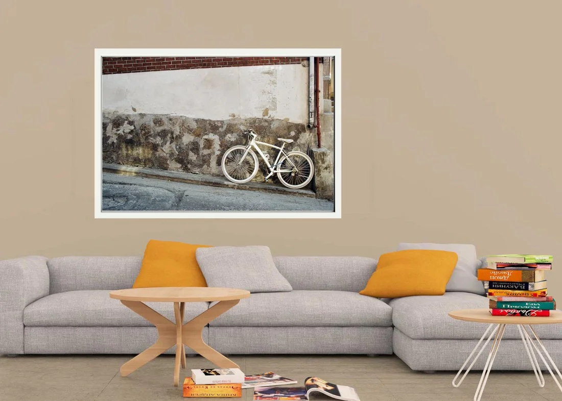 white bicycle frame.jpg