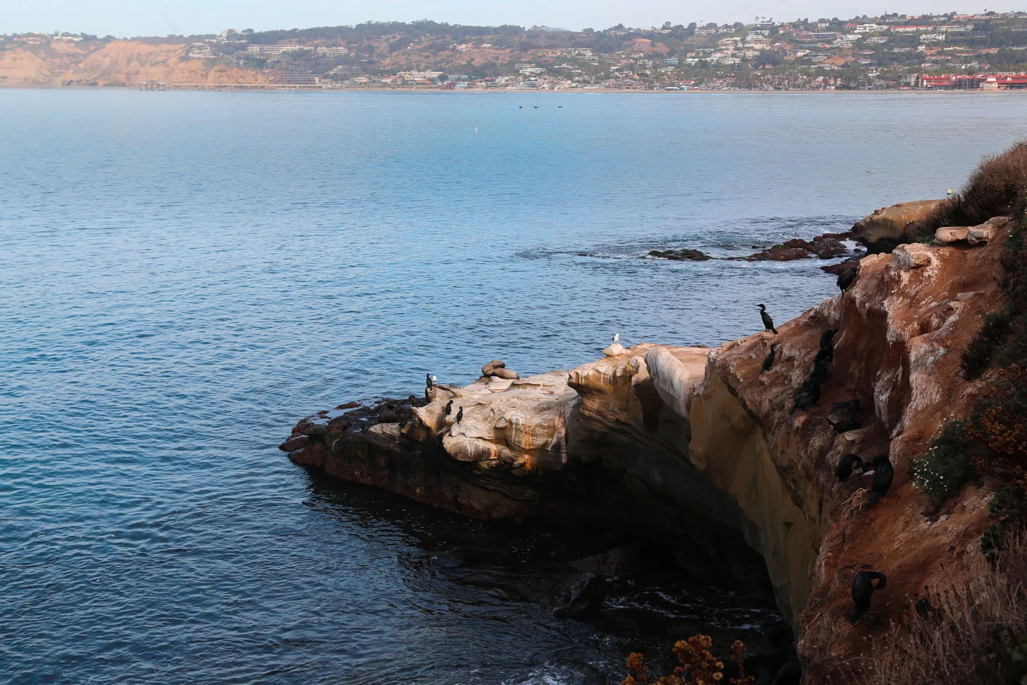 la jolla.jpg