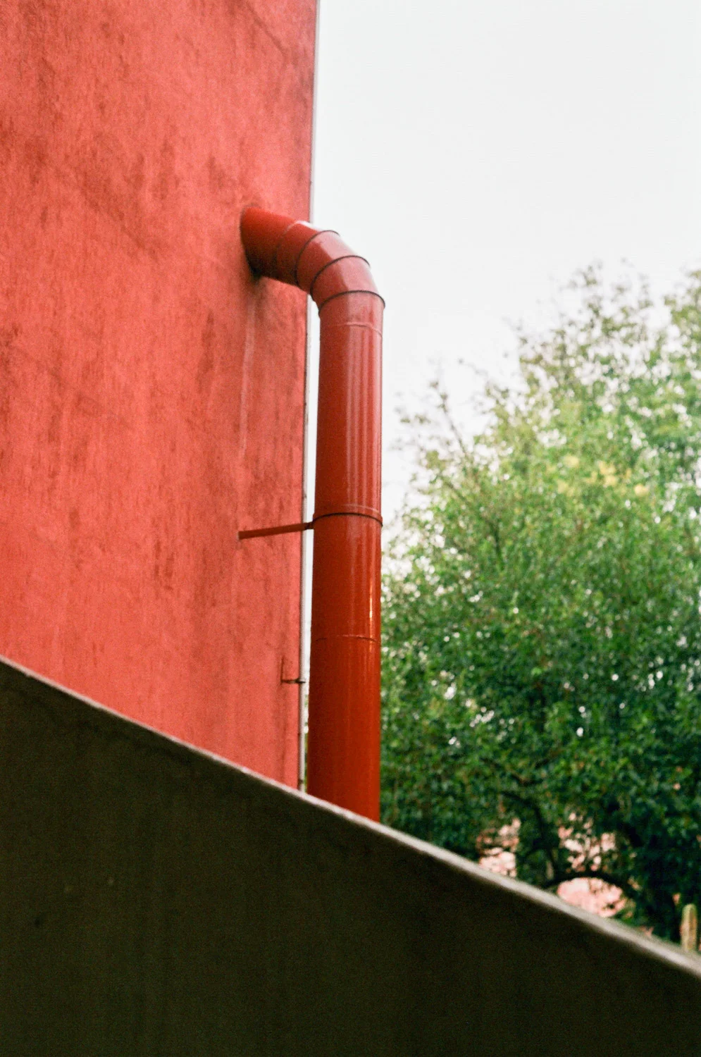 43620006.jpg