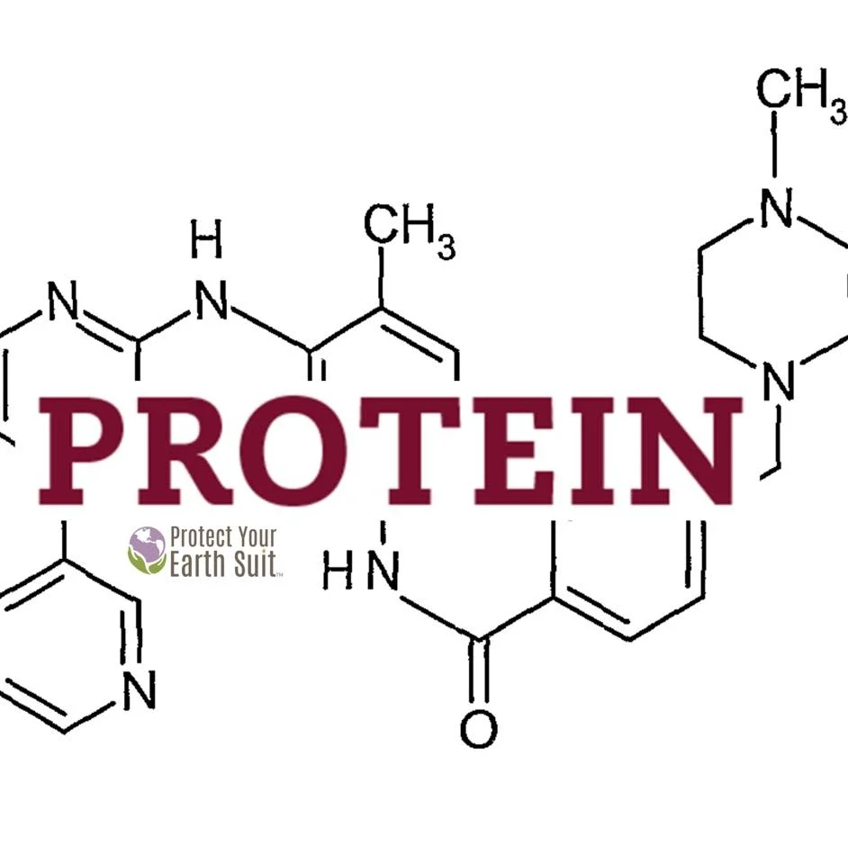 2 Protein.jpg