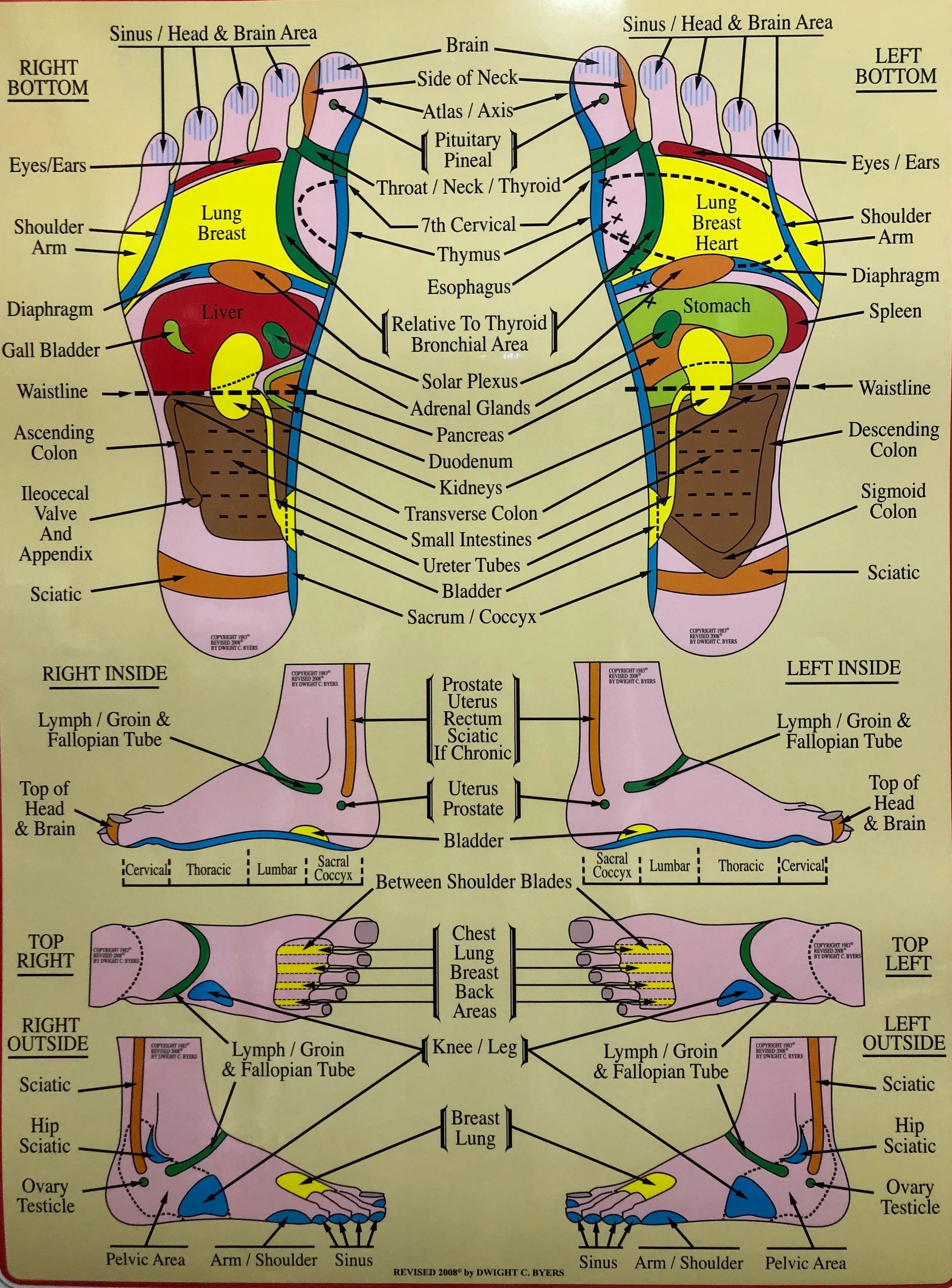 1 Reflexology.jpg