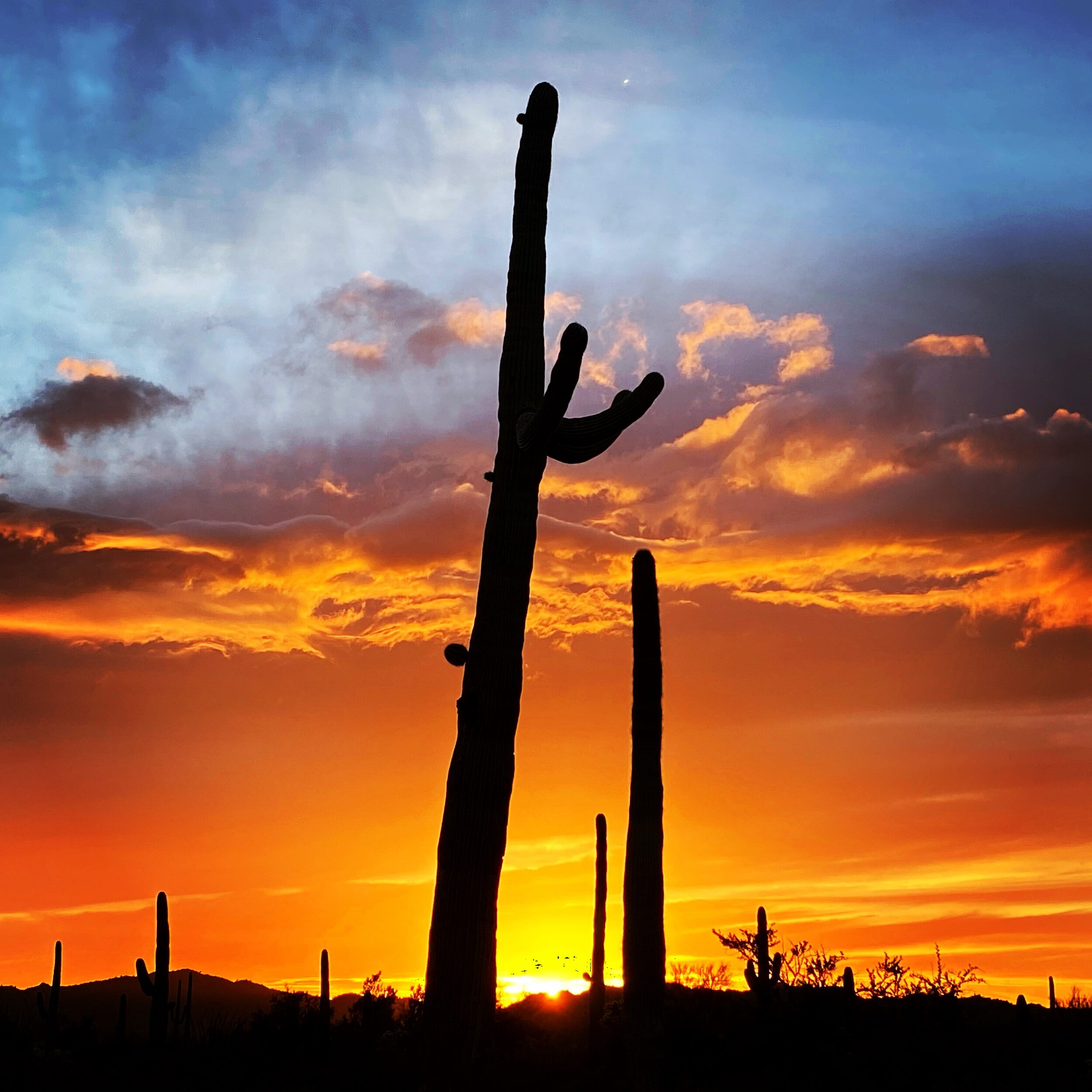 Lukesville, AZ