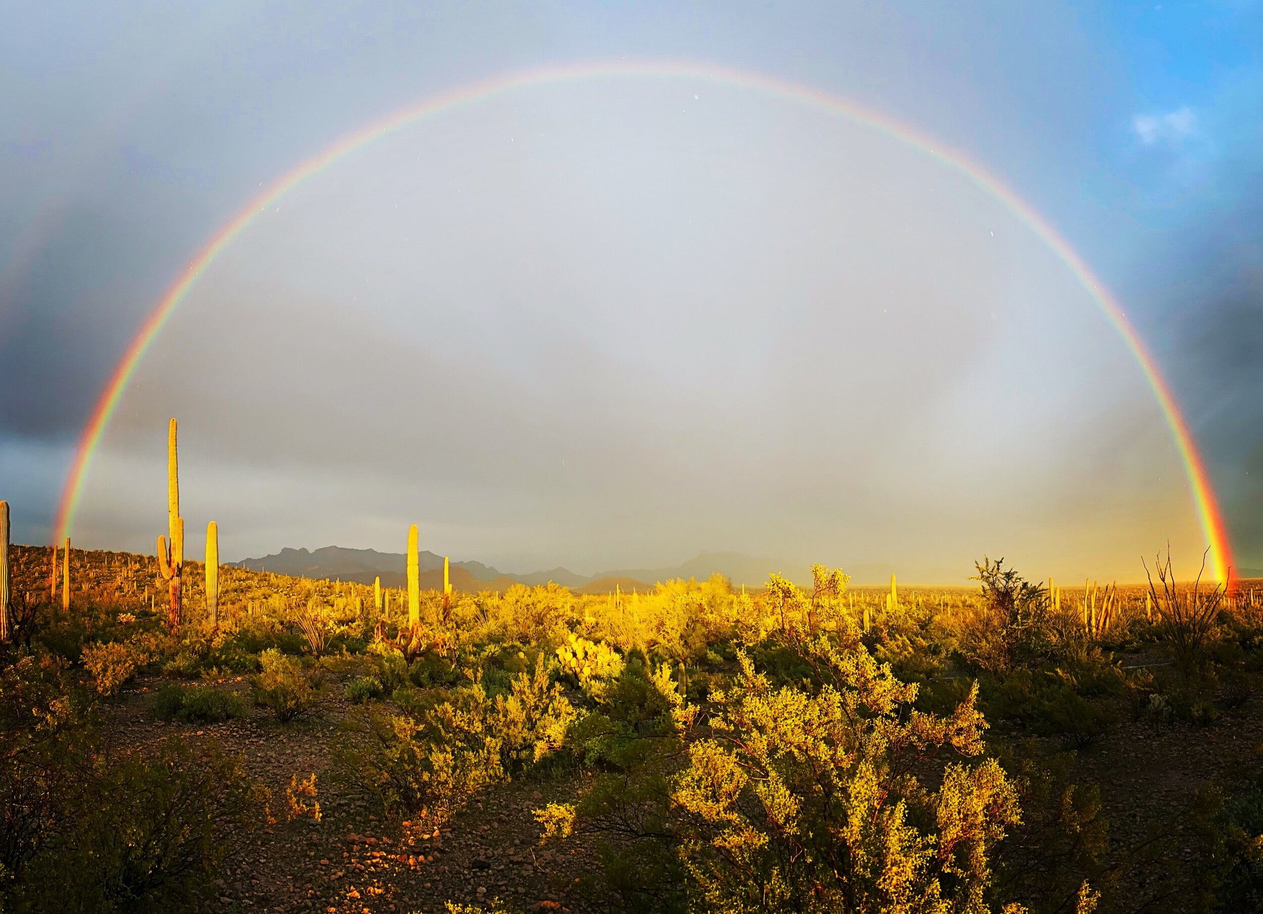 Lukesville, AZ