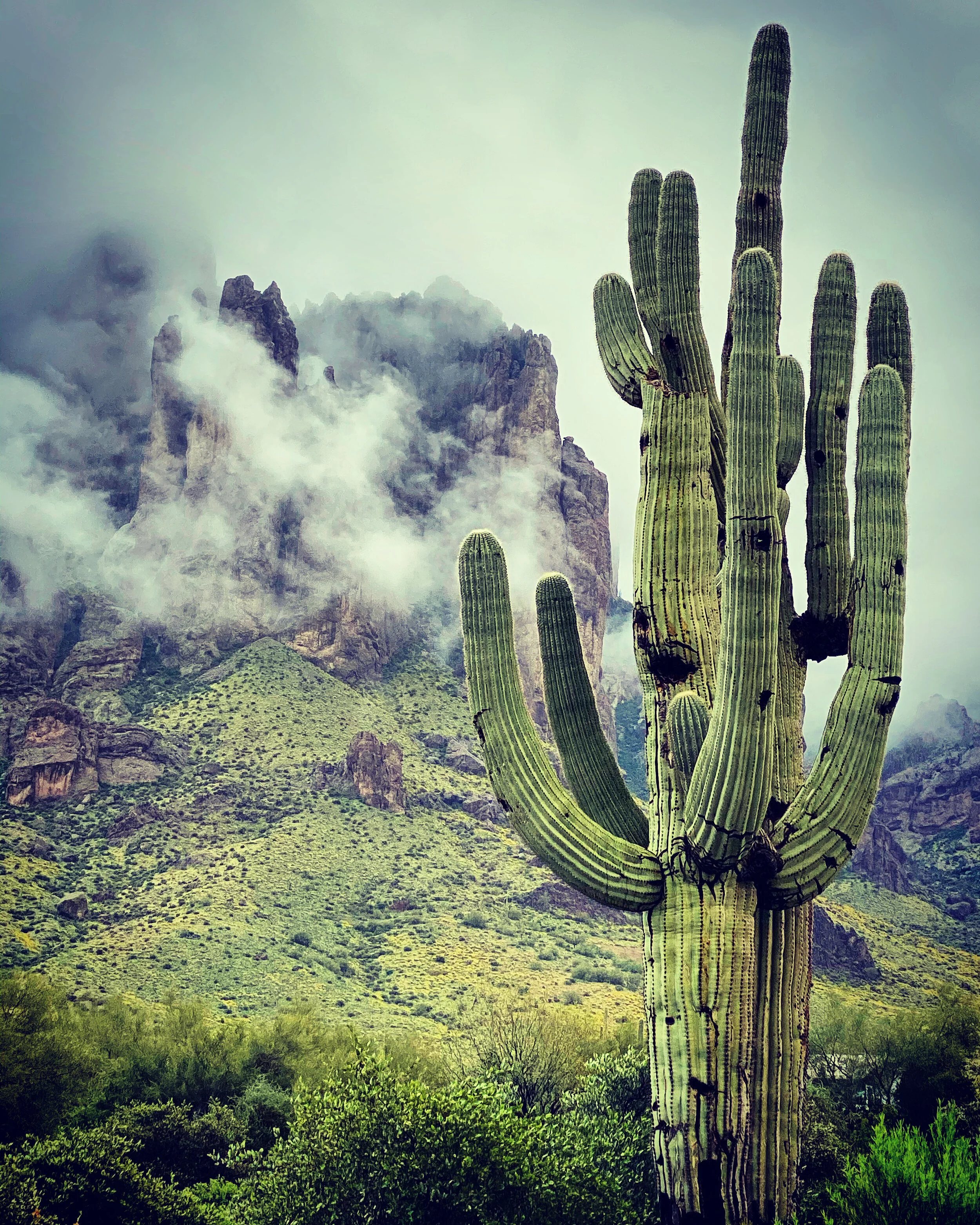 Apache Junction, AZ