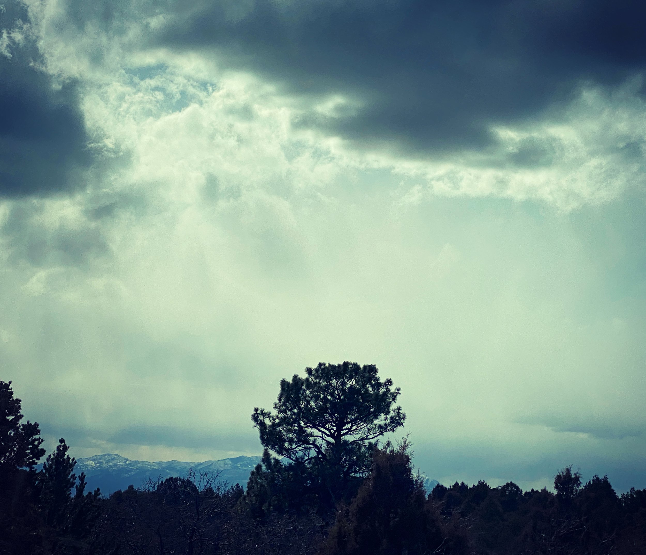 BFEC97FA-F058-4B12-A7D8-243EE477A2EF.jpeg