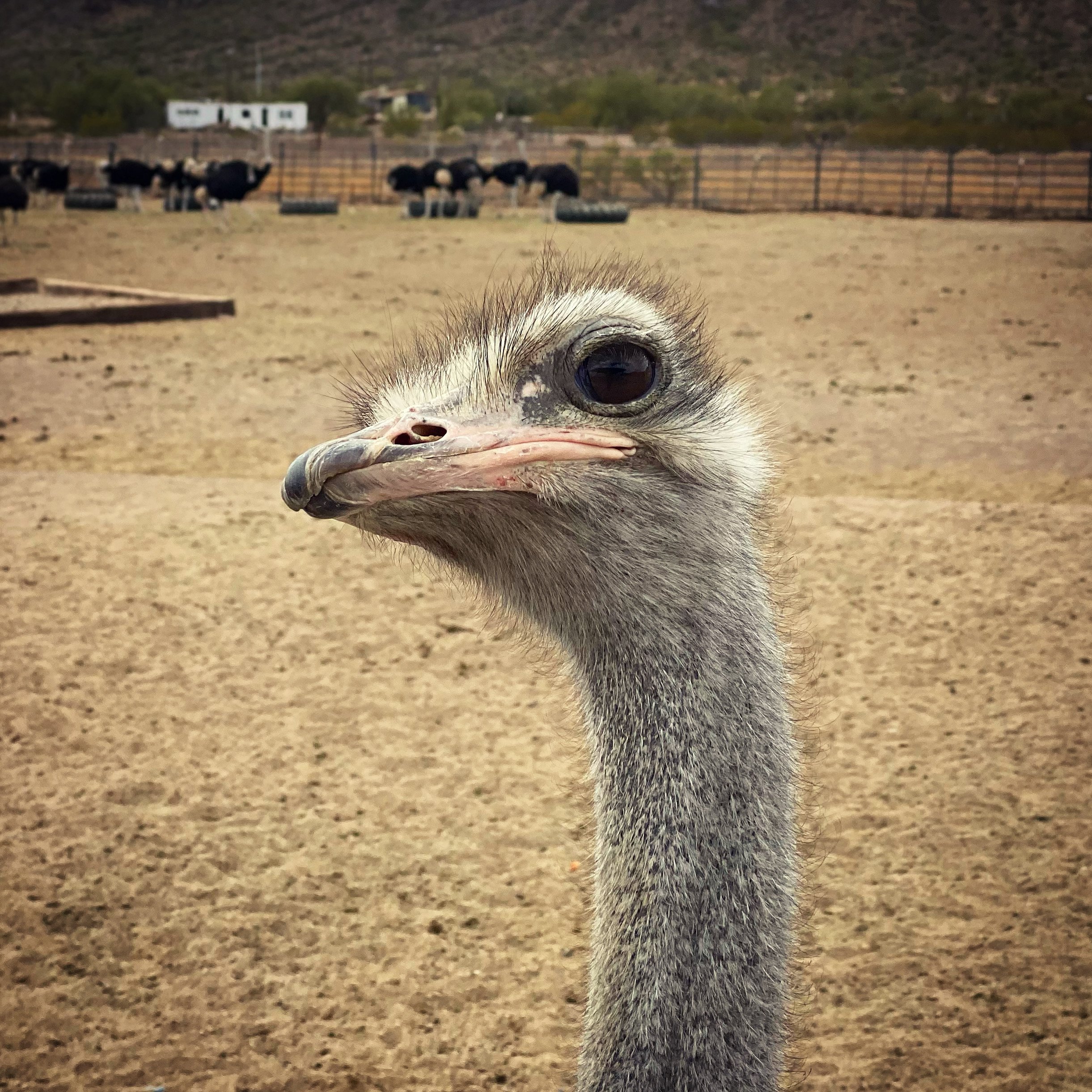 90A95674-6431-4D02-B8F0-2488E777C49D.jpeg
