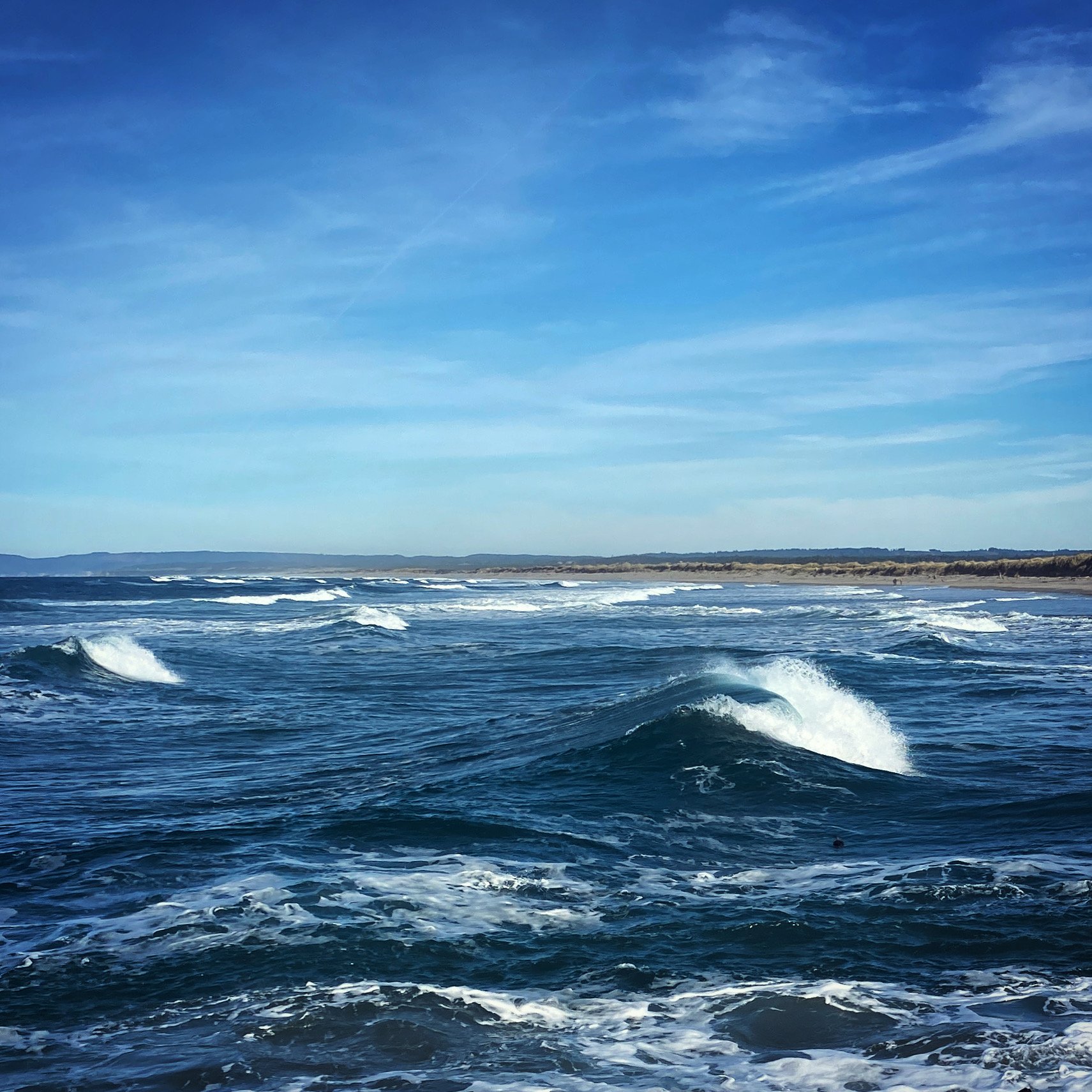 F797149B-690E-4C79-B911-54132709A460.jpeg