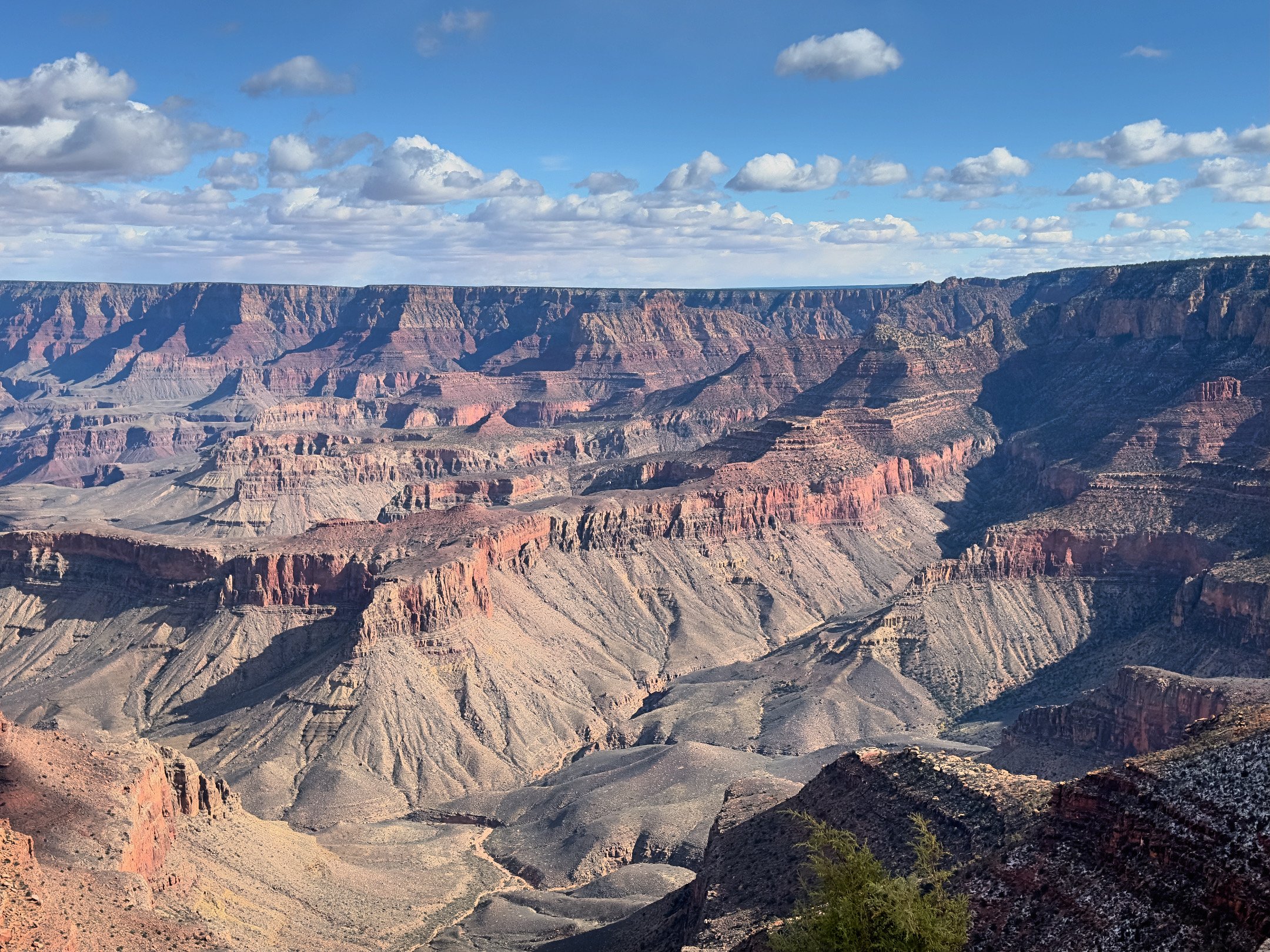 AEA95B87-D353-41AE-9408-E5DA4BE063F5.jpeg