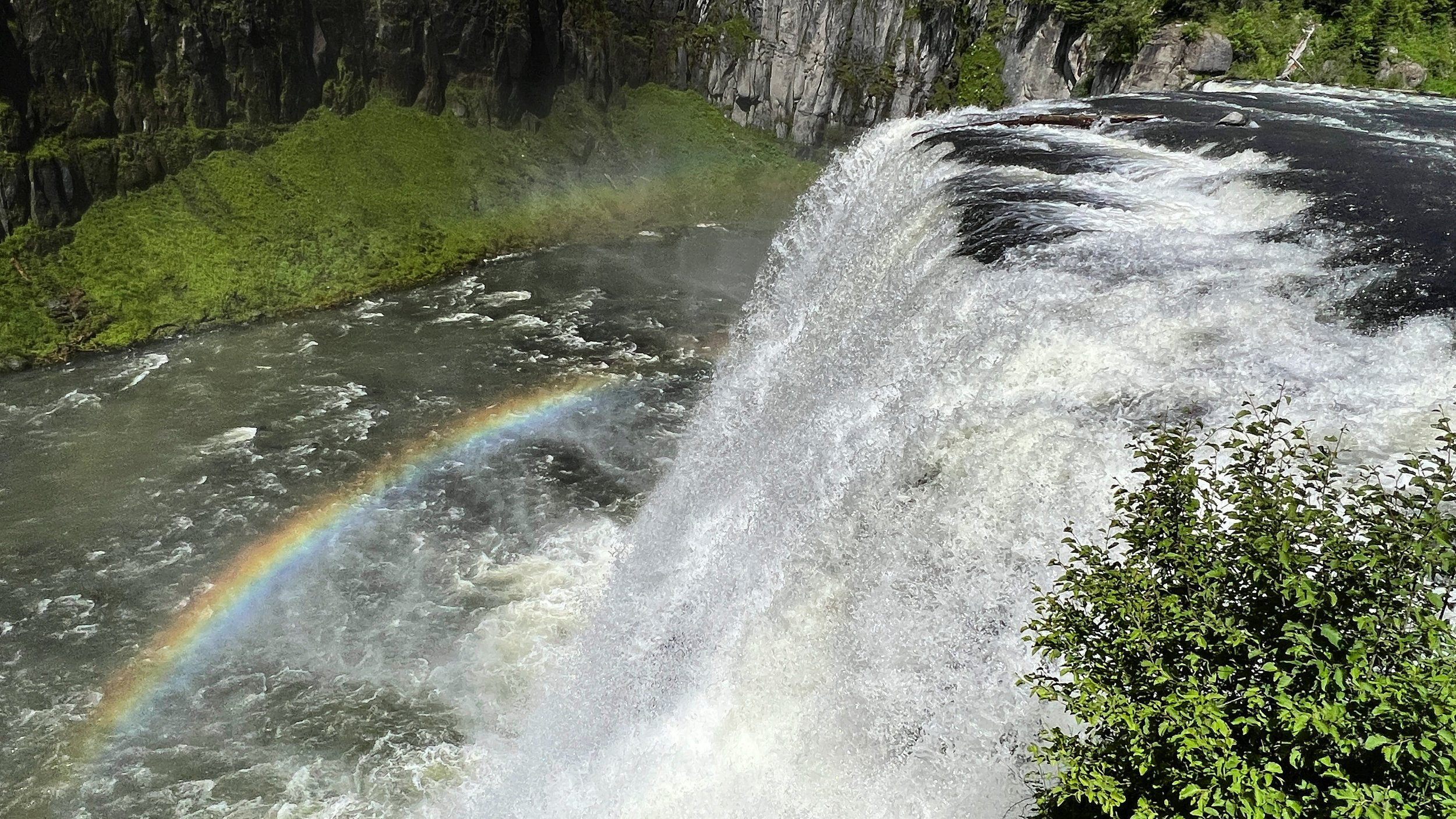 284722C0-155F-46EC-8785-FE453F16D14C.jpeg