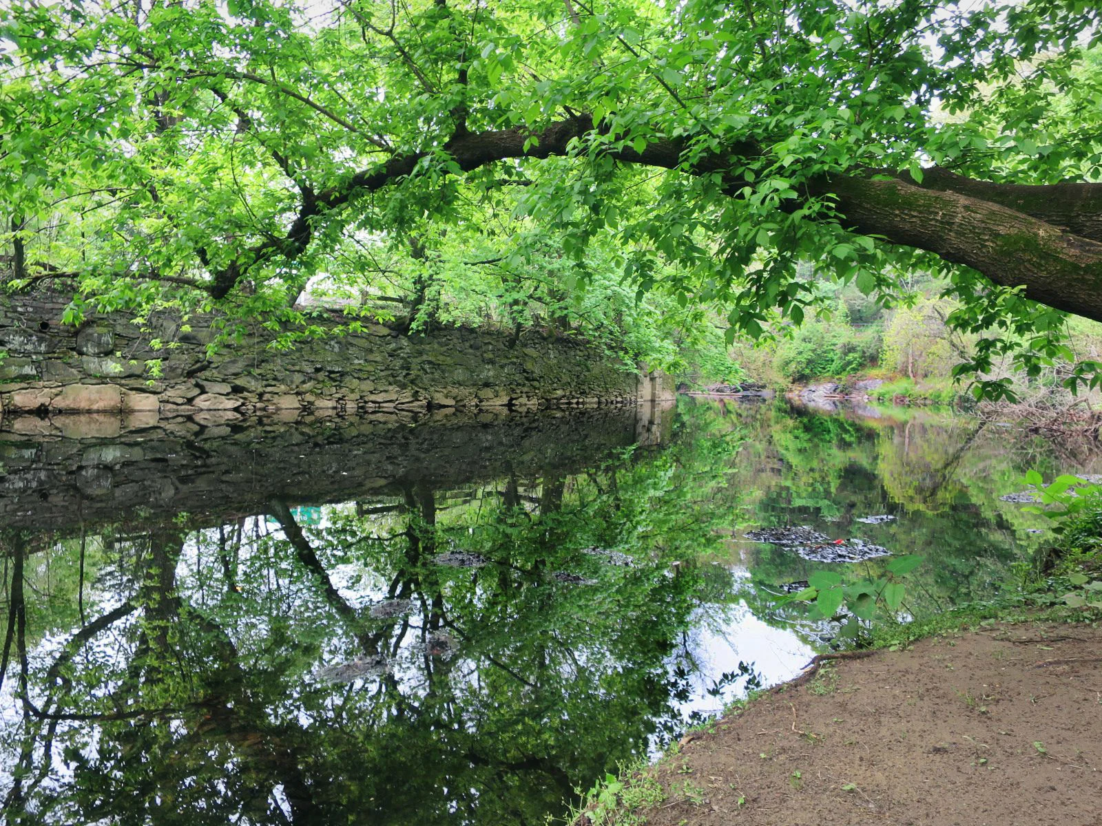 pond.jpg