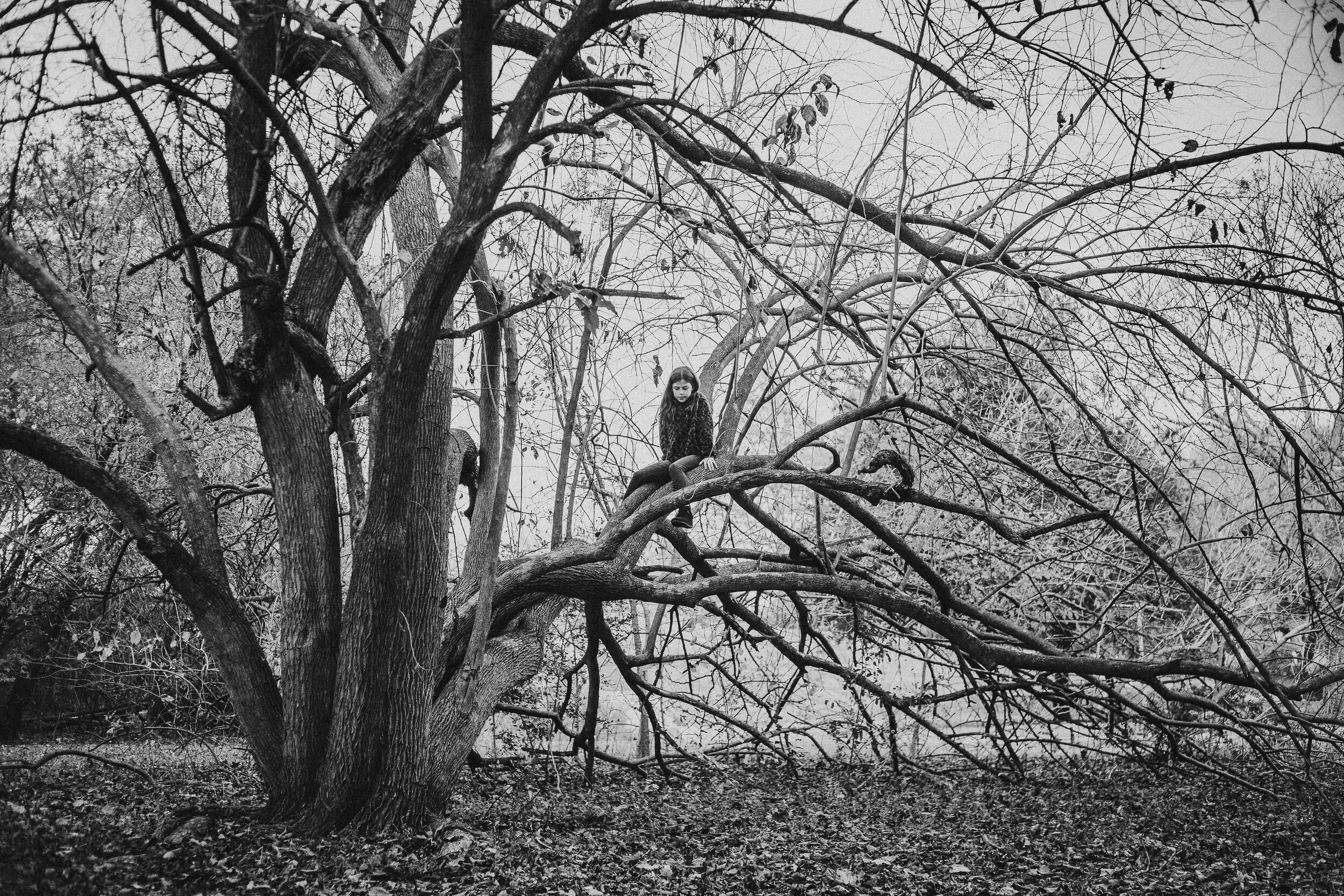 Langdon Portfolio web-5.jpg