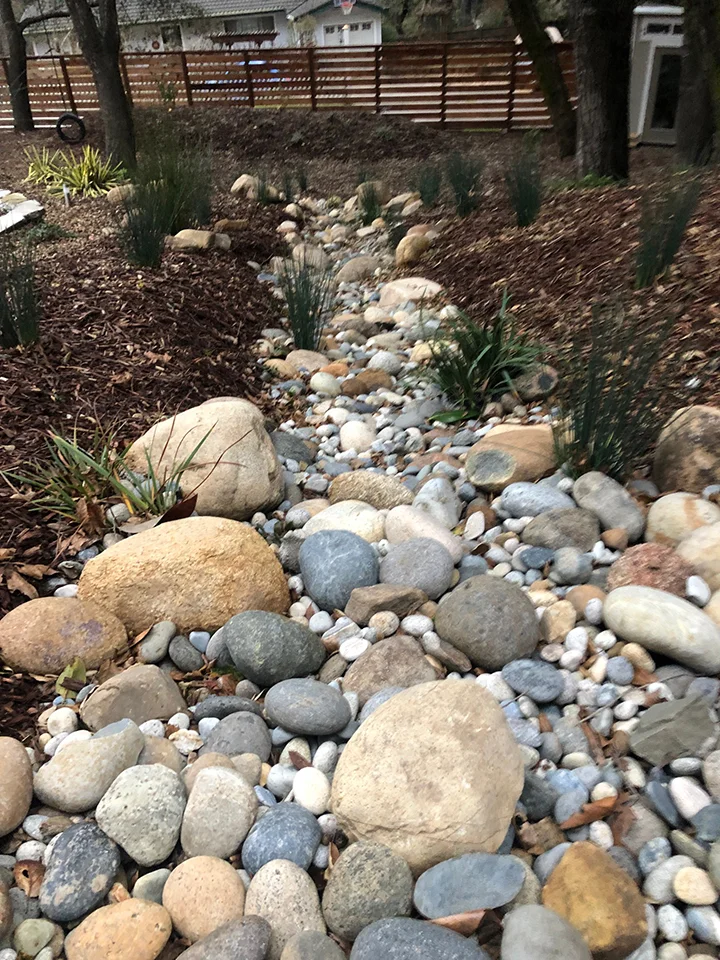 Sustainable landscape 1st place.jpg