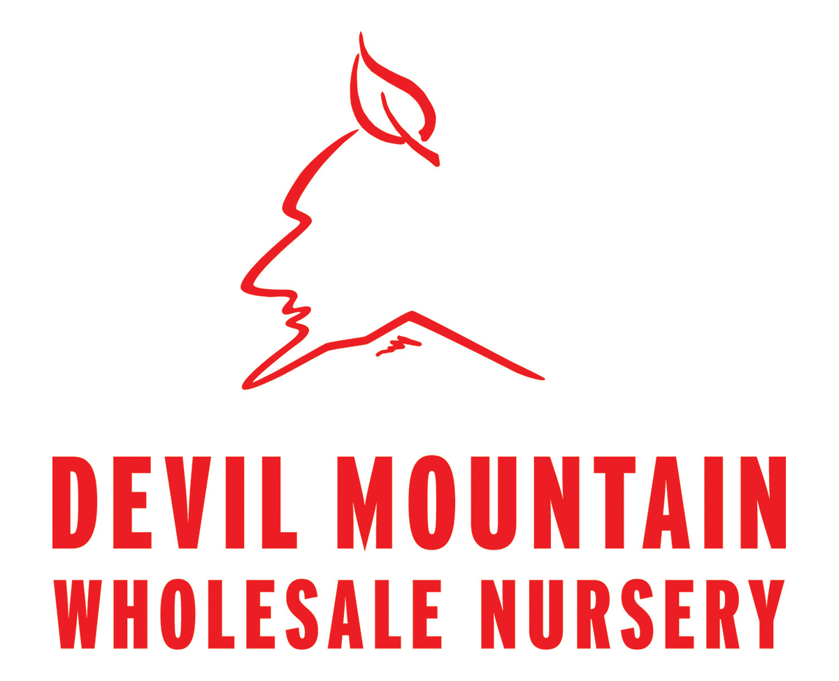 Devil Mountain_LogoX_wholesale nursery_Stacked_09-2017-Red.png