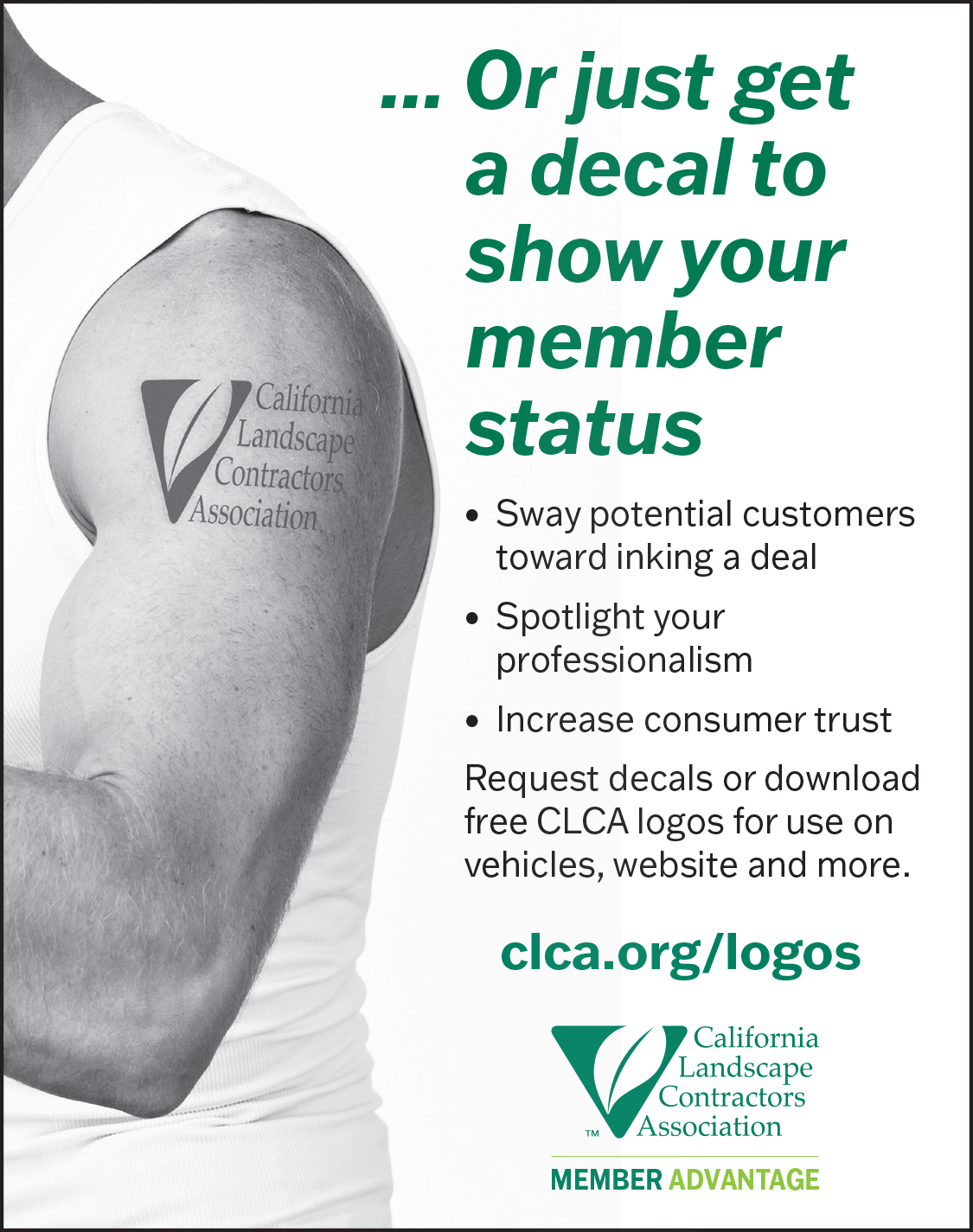 For July 2024_DecalPromo_quarterpage.png