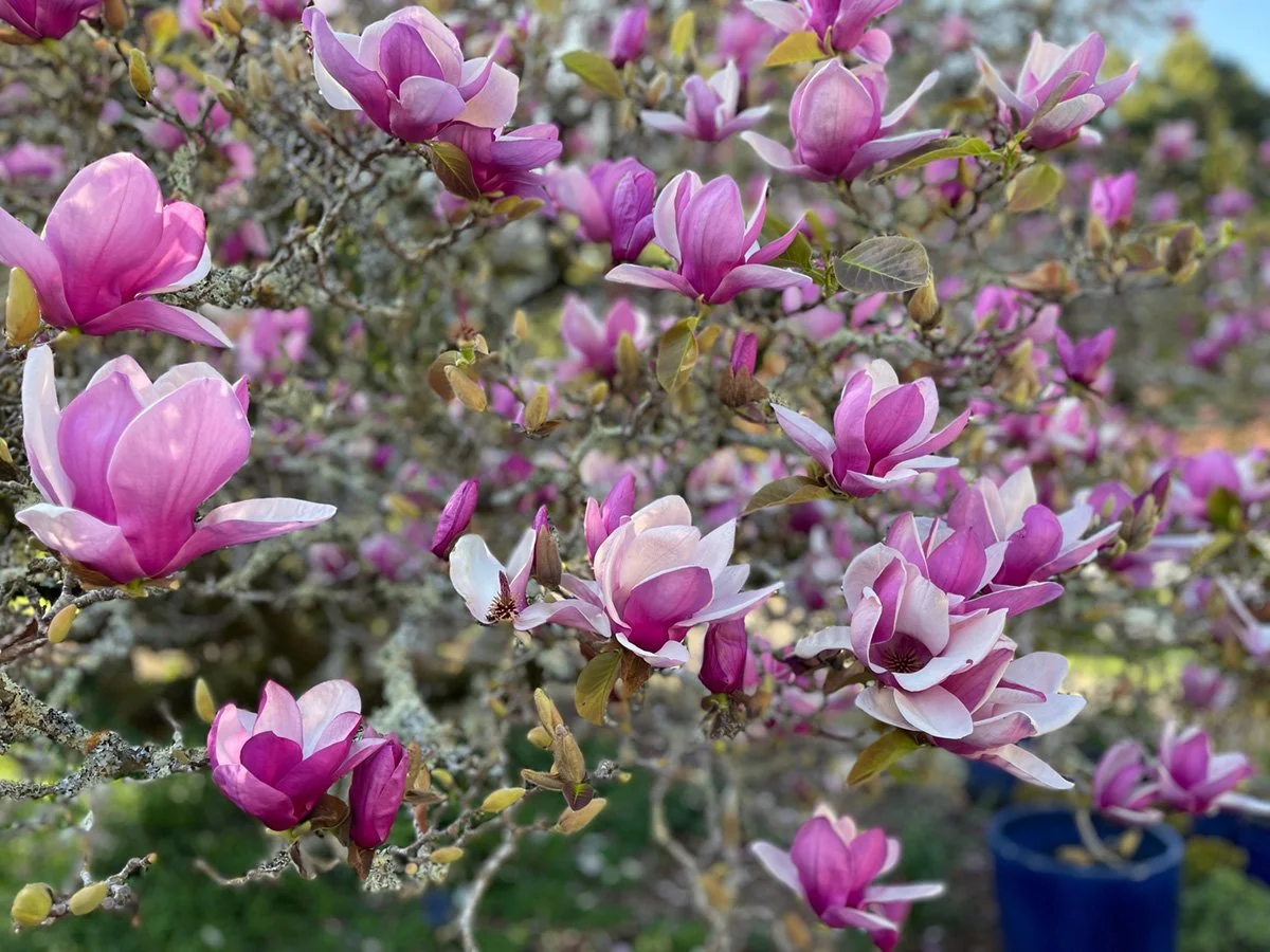 April:May:June 2026_CCBanner8692_eah.jpg