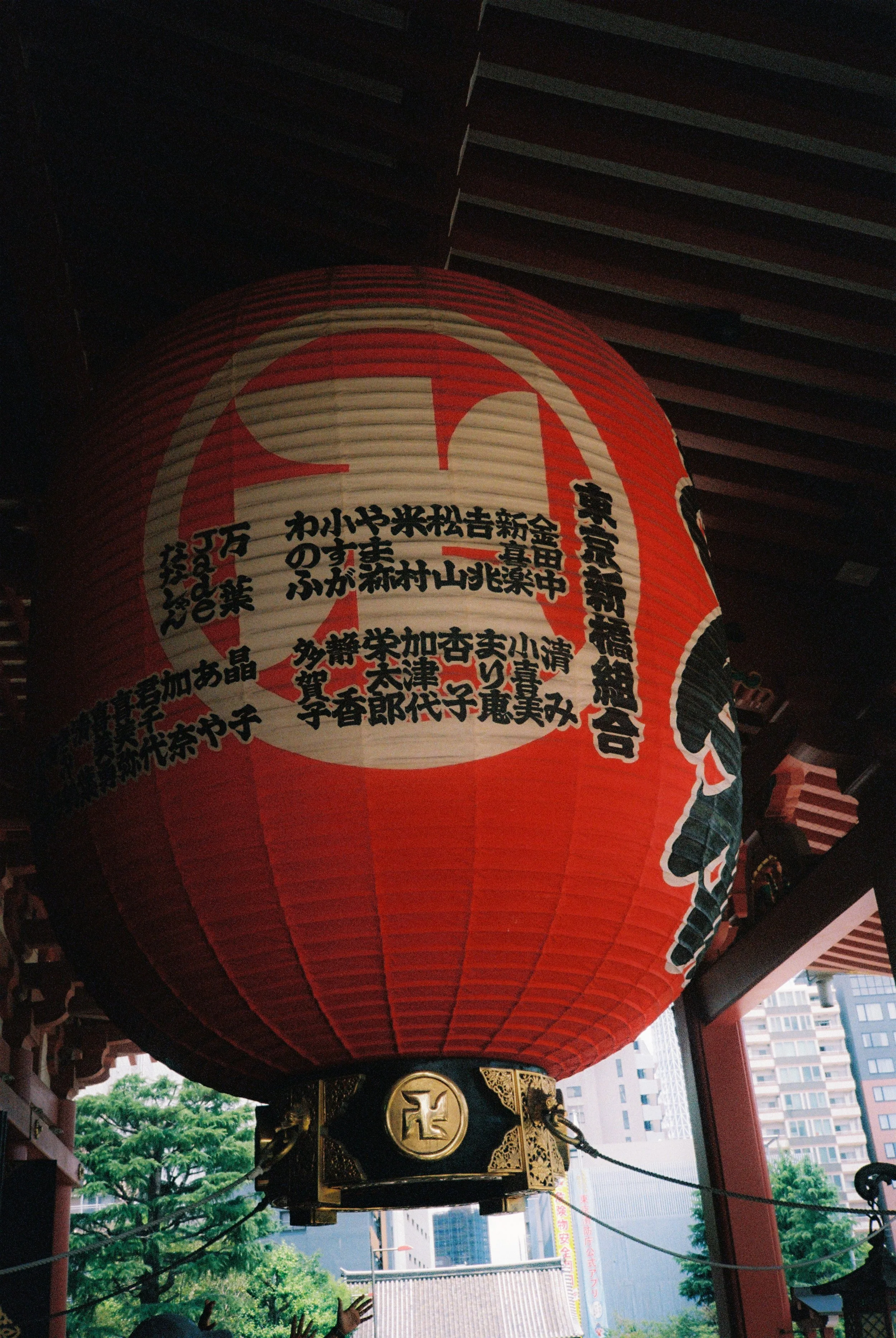 Photo7.jpg