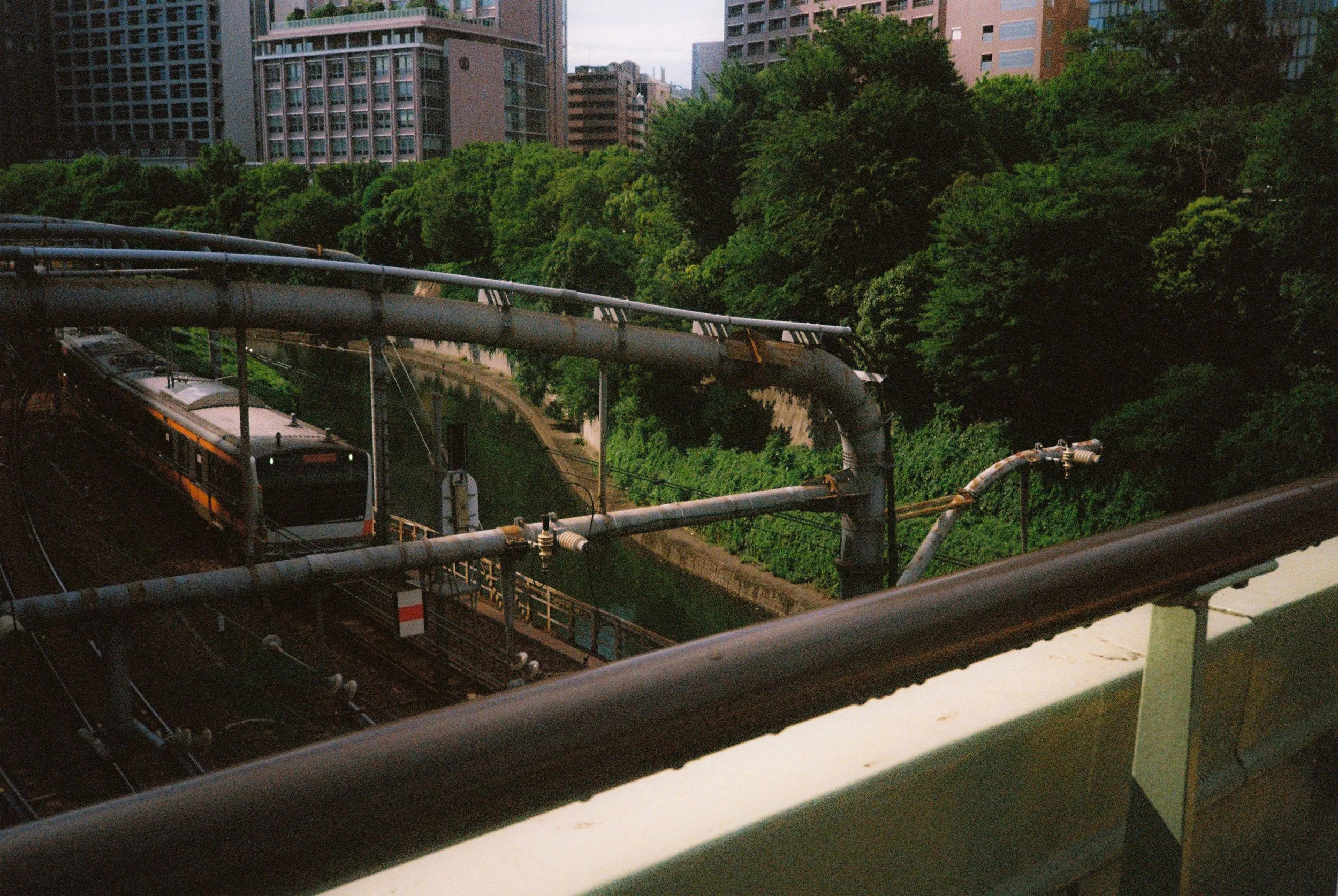 Photo18.jpg