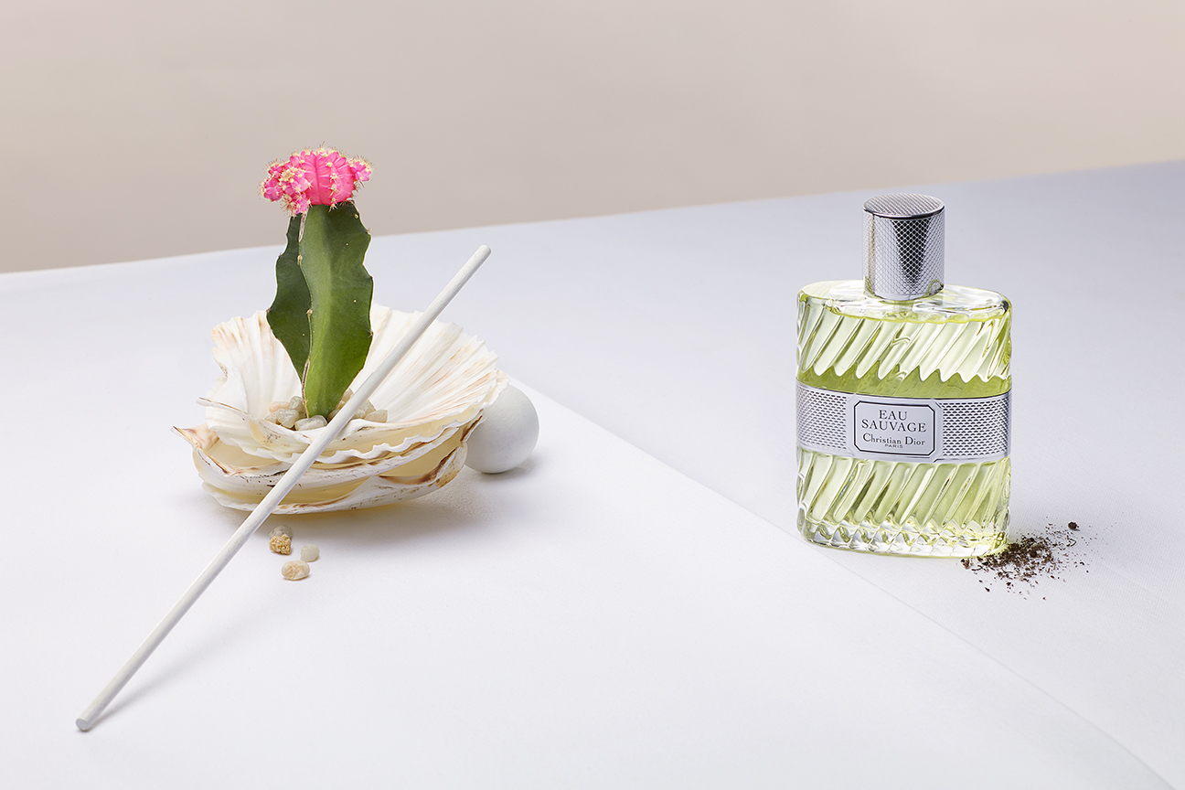 fragrance study - personal work