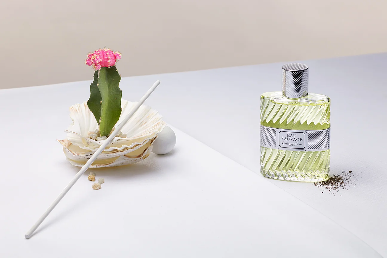 fragrance study - personal work