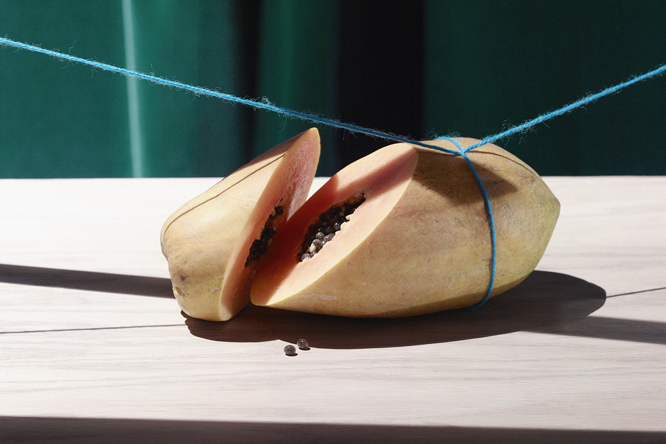 fruits - personal work