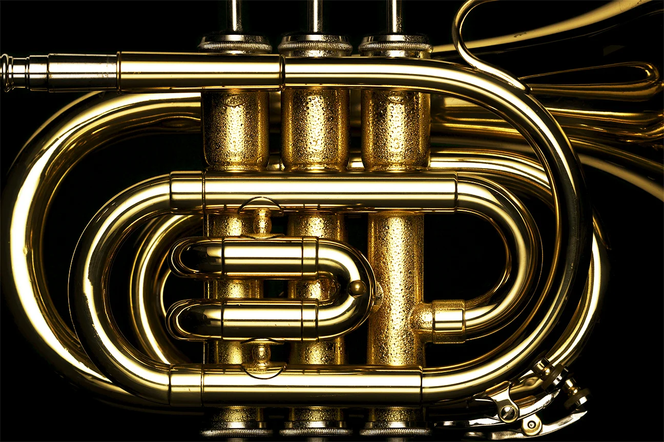 brass instrument - personal work