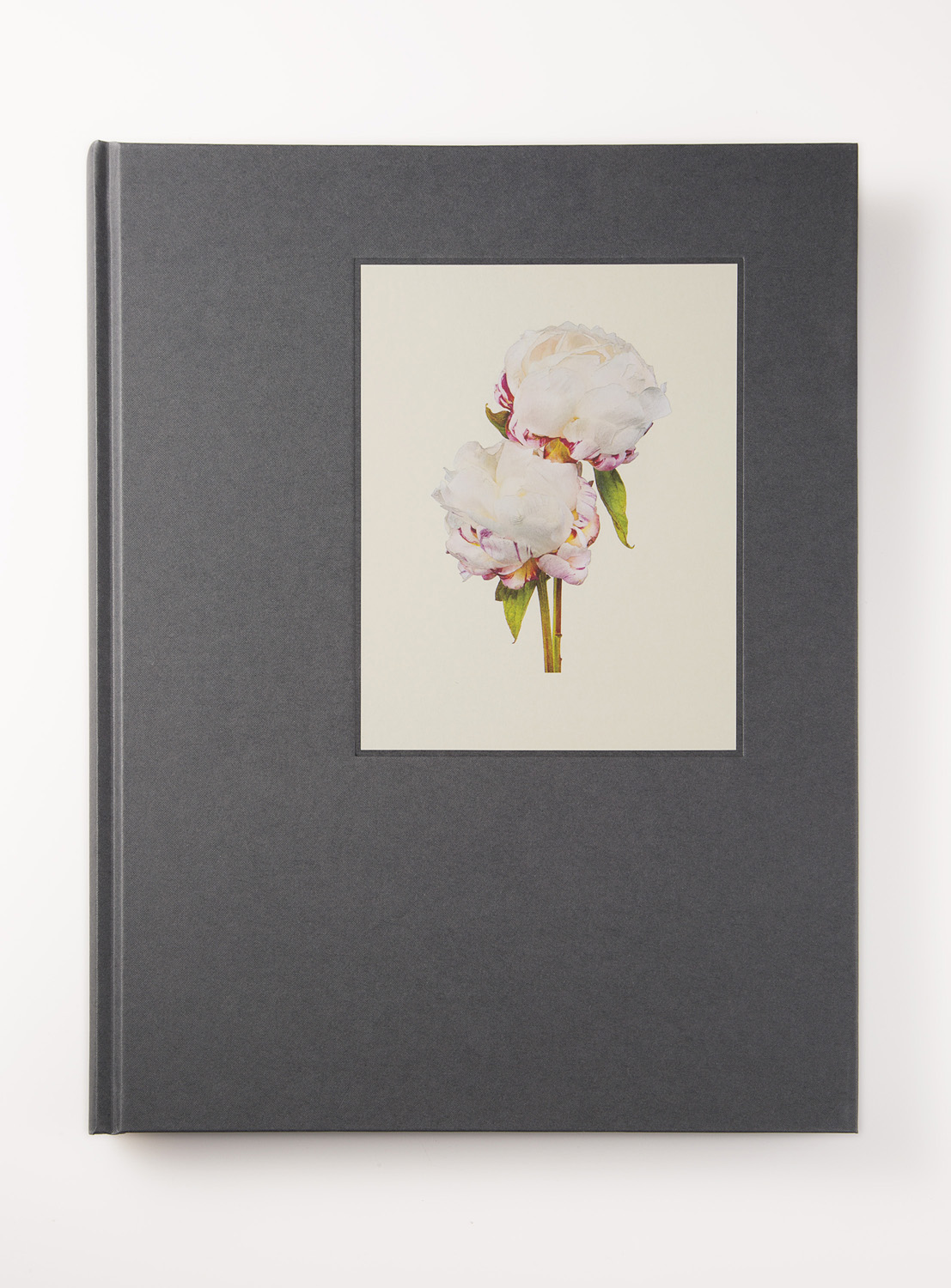 150dpi_THE MOST BEAUTIFUL FLOWERS-FRONT_COVER.jpg