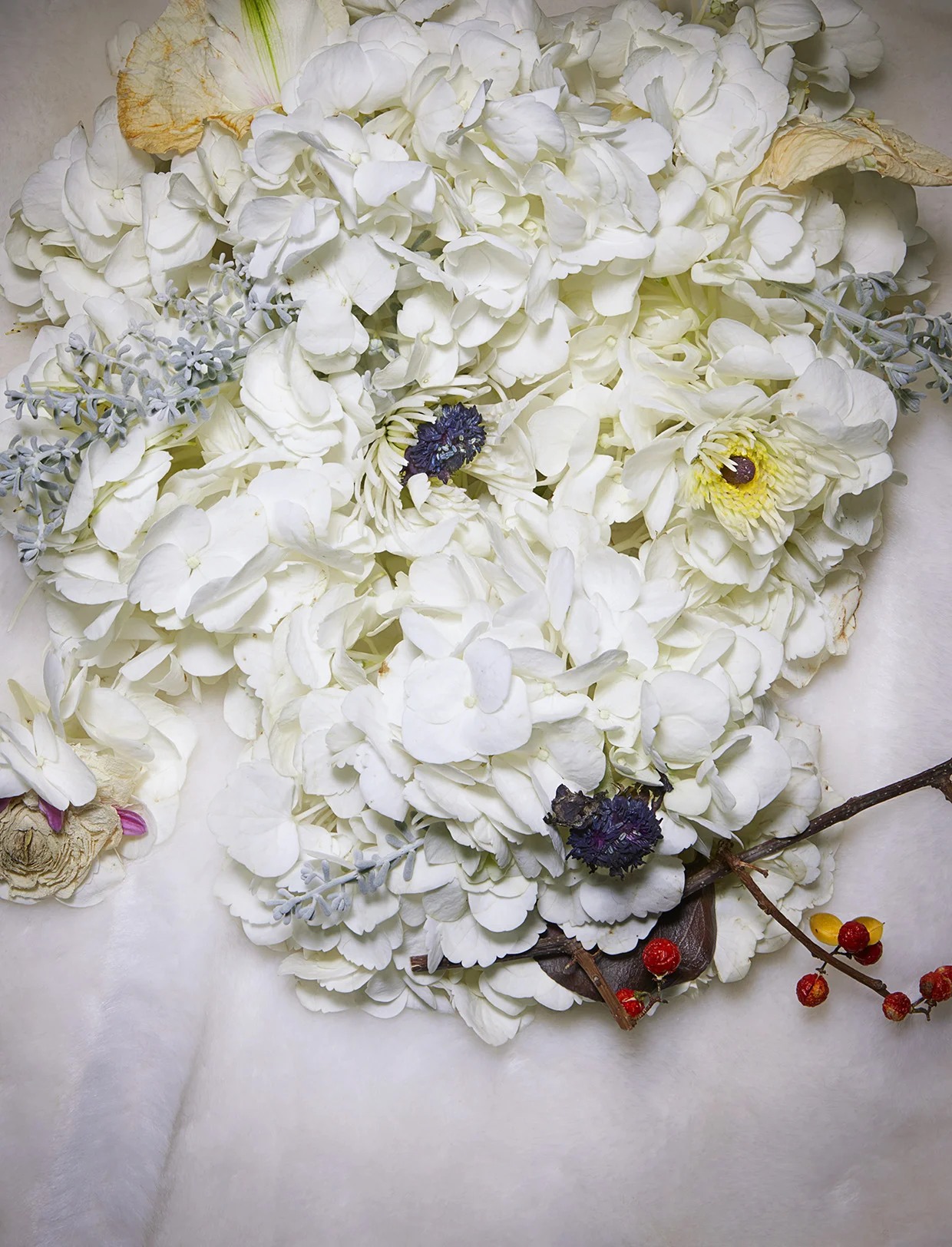 rakesprogress 'floral friends'