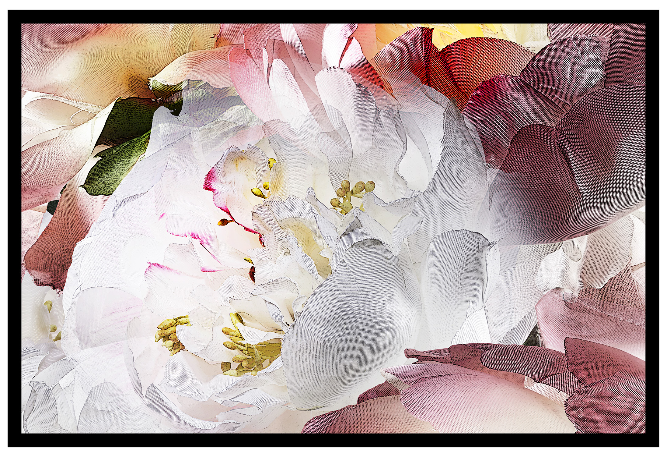 Print-Single frame-19x13-10mm-line-Peony-AB-6Box-A-2.jpg