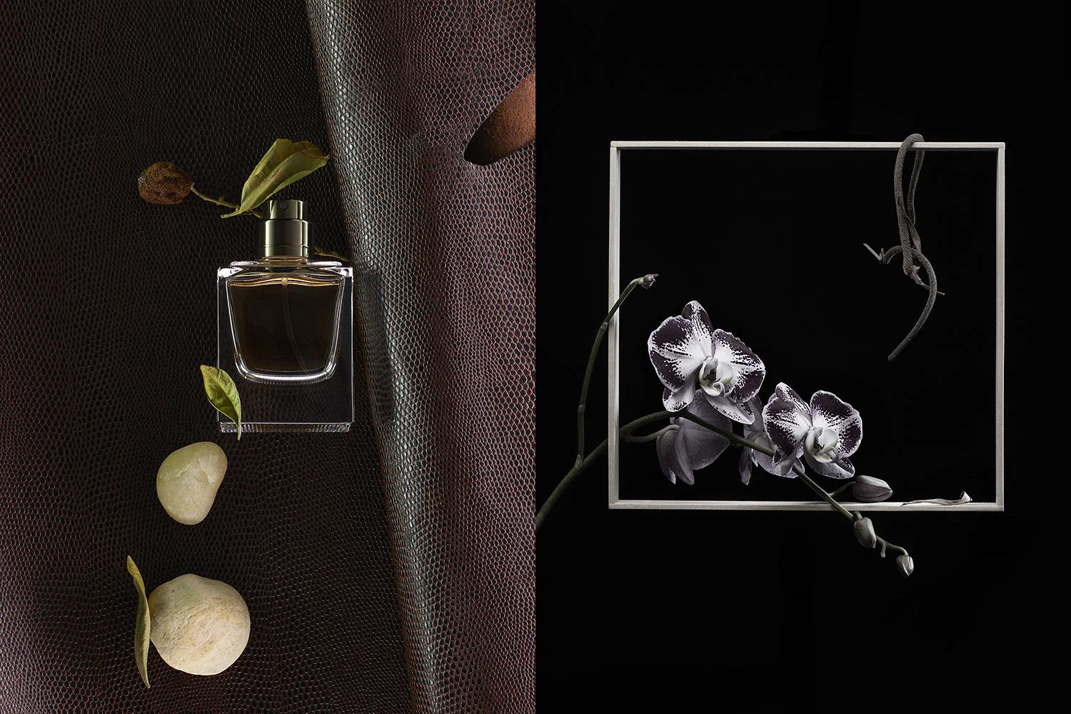 rakesprogress "floral notes"
