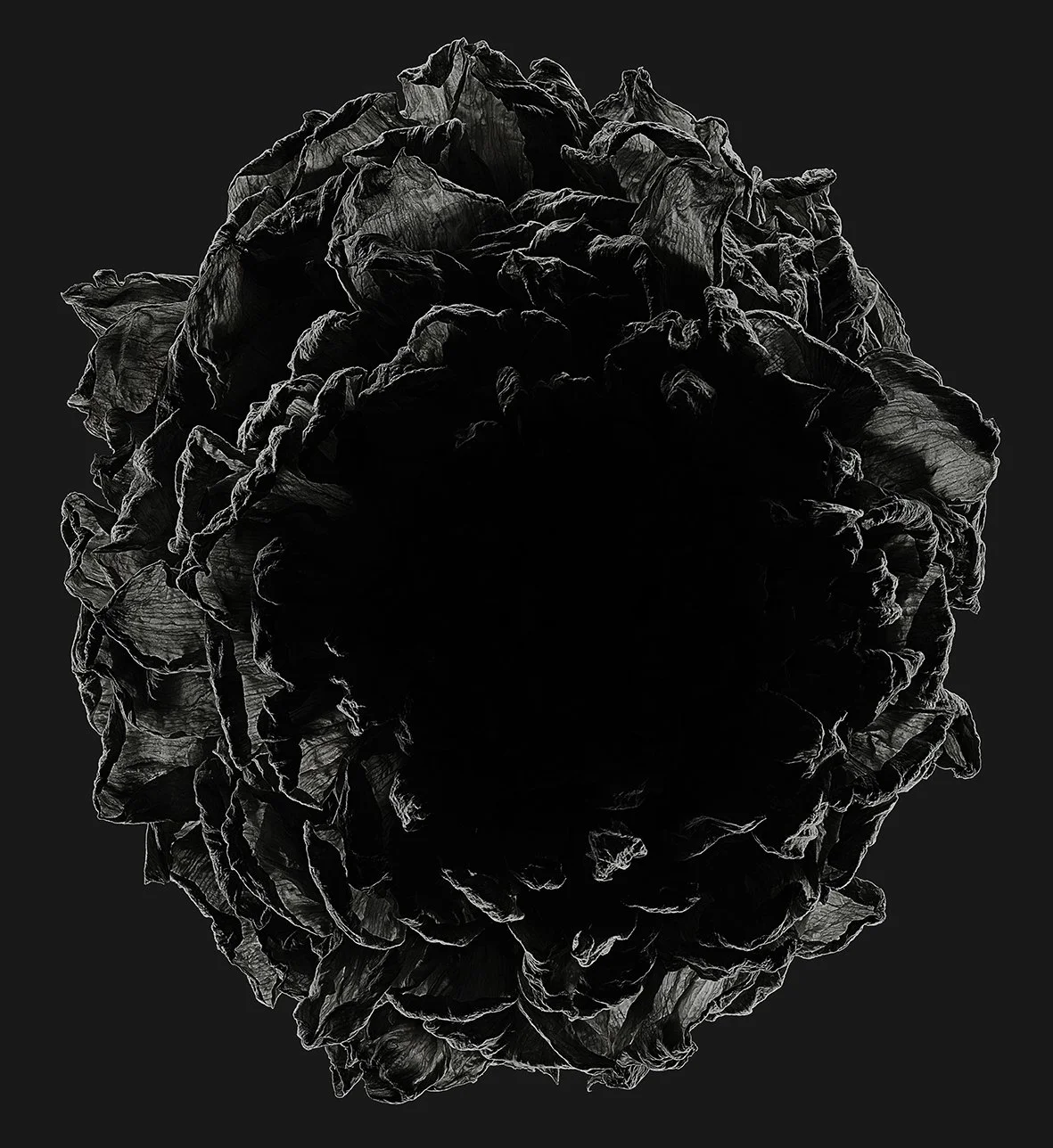03_12_Dahlia:Eveline-Afterglow.jpg