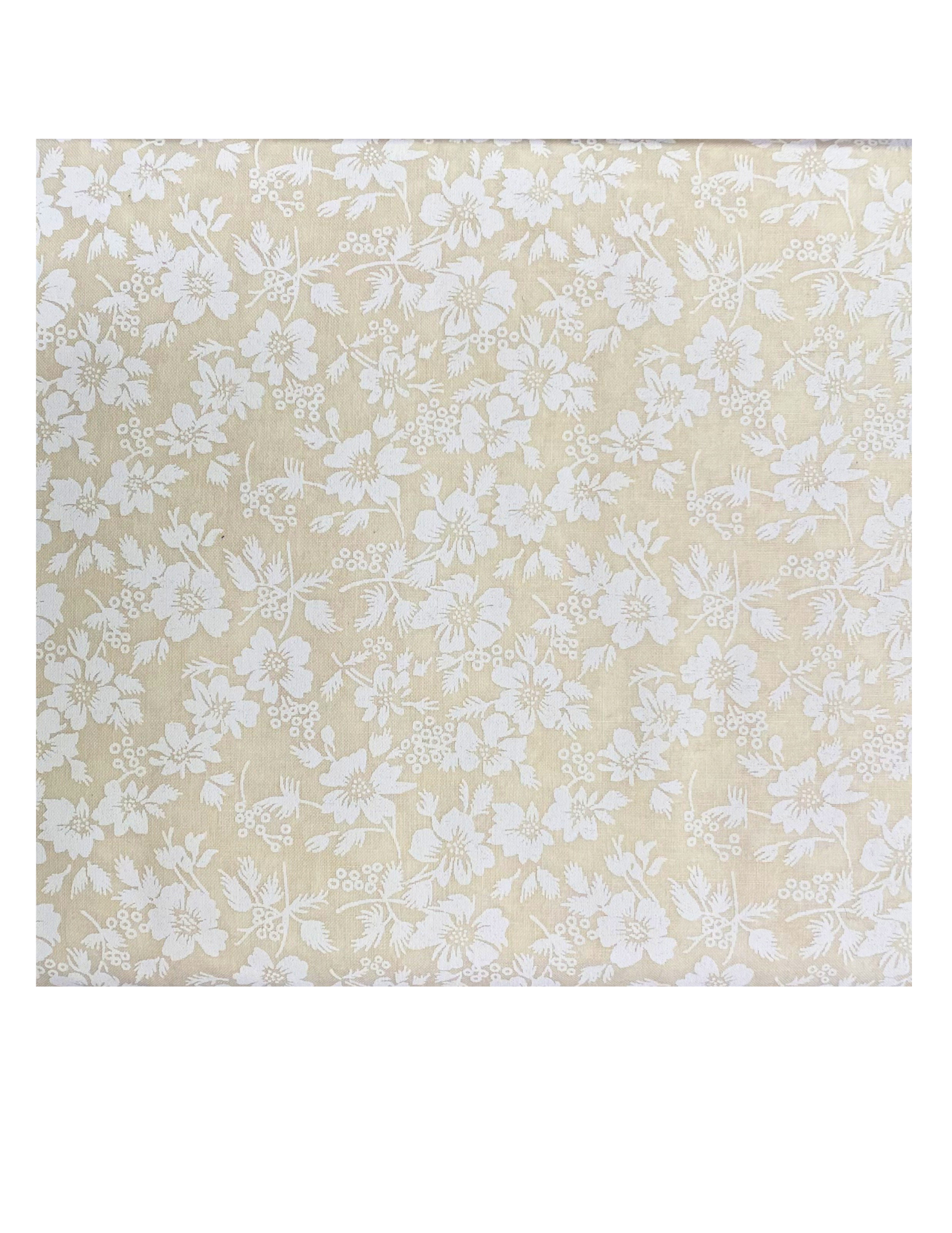 Cream with White Floral