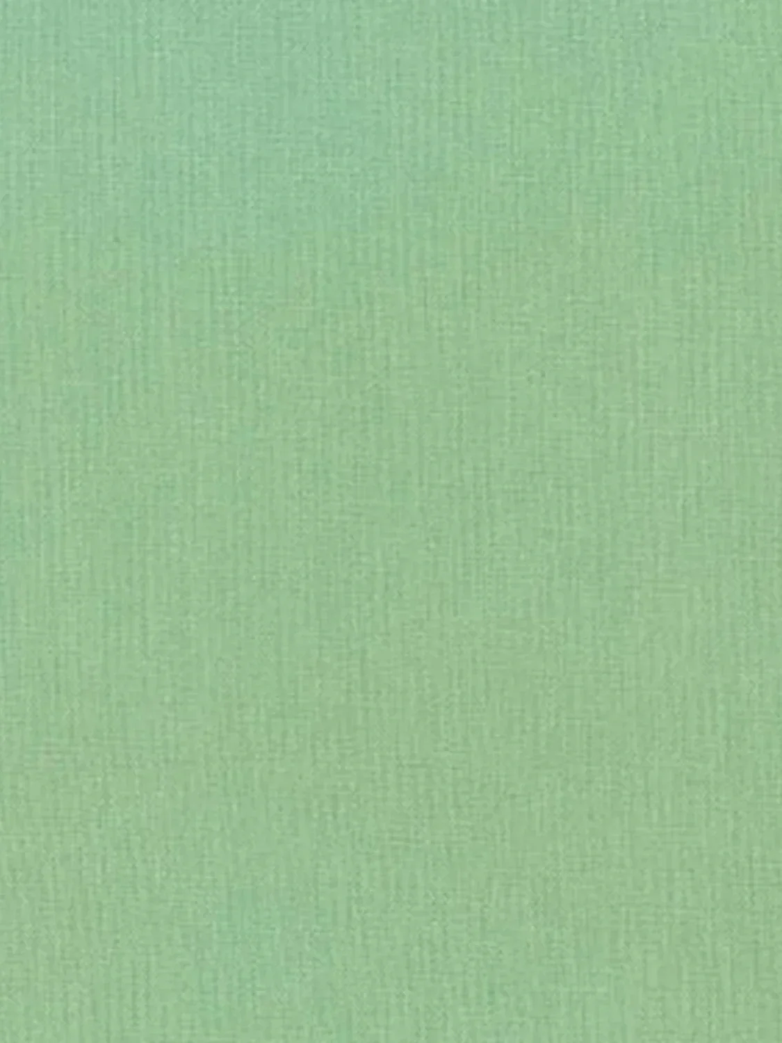 E014-WILLOW.webp