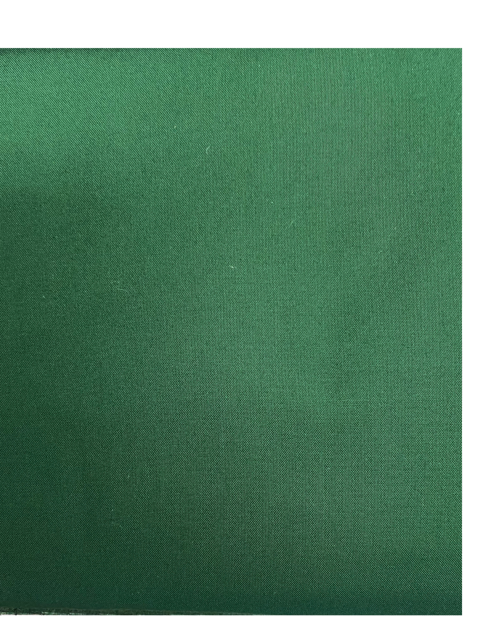 Dark Green Solid