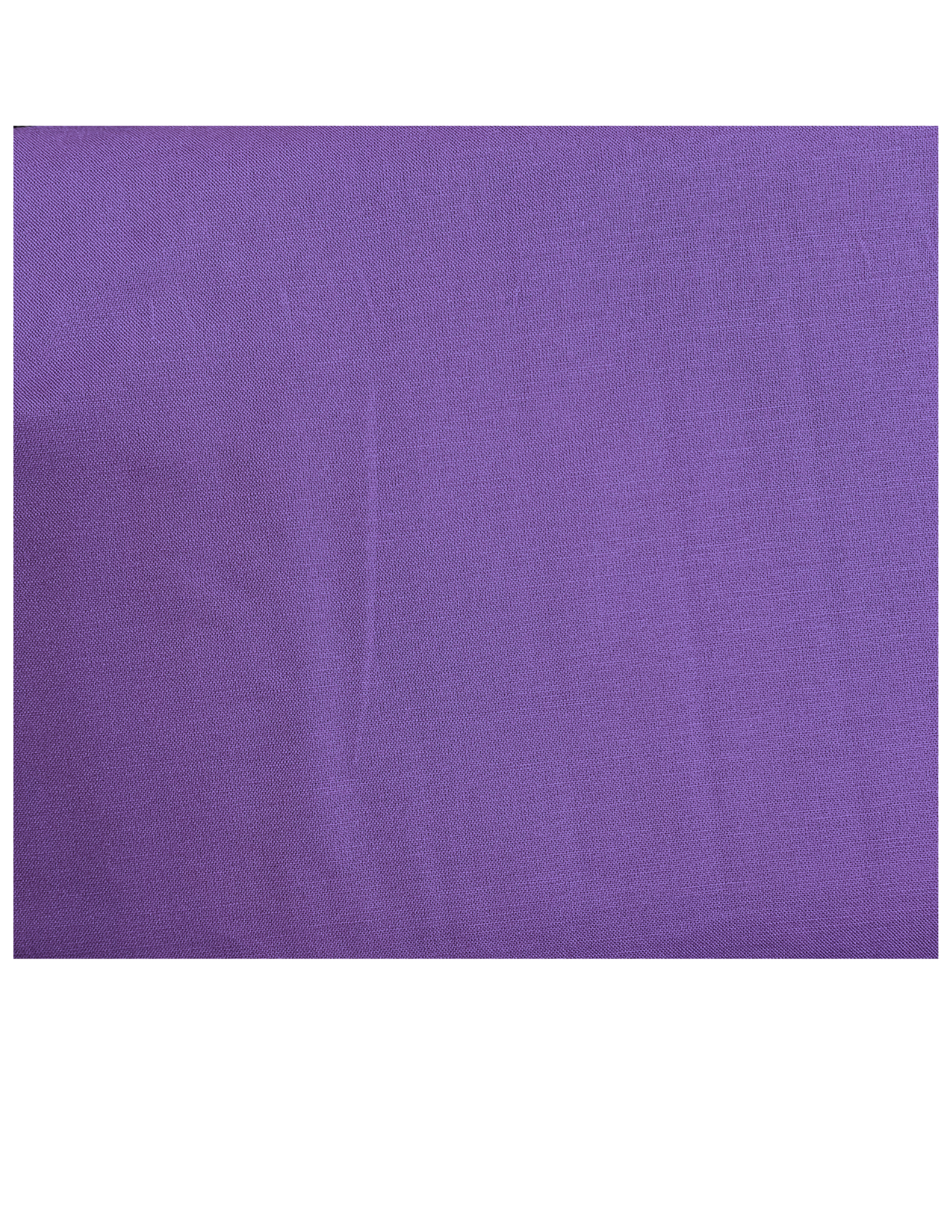 Solid Purple