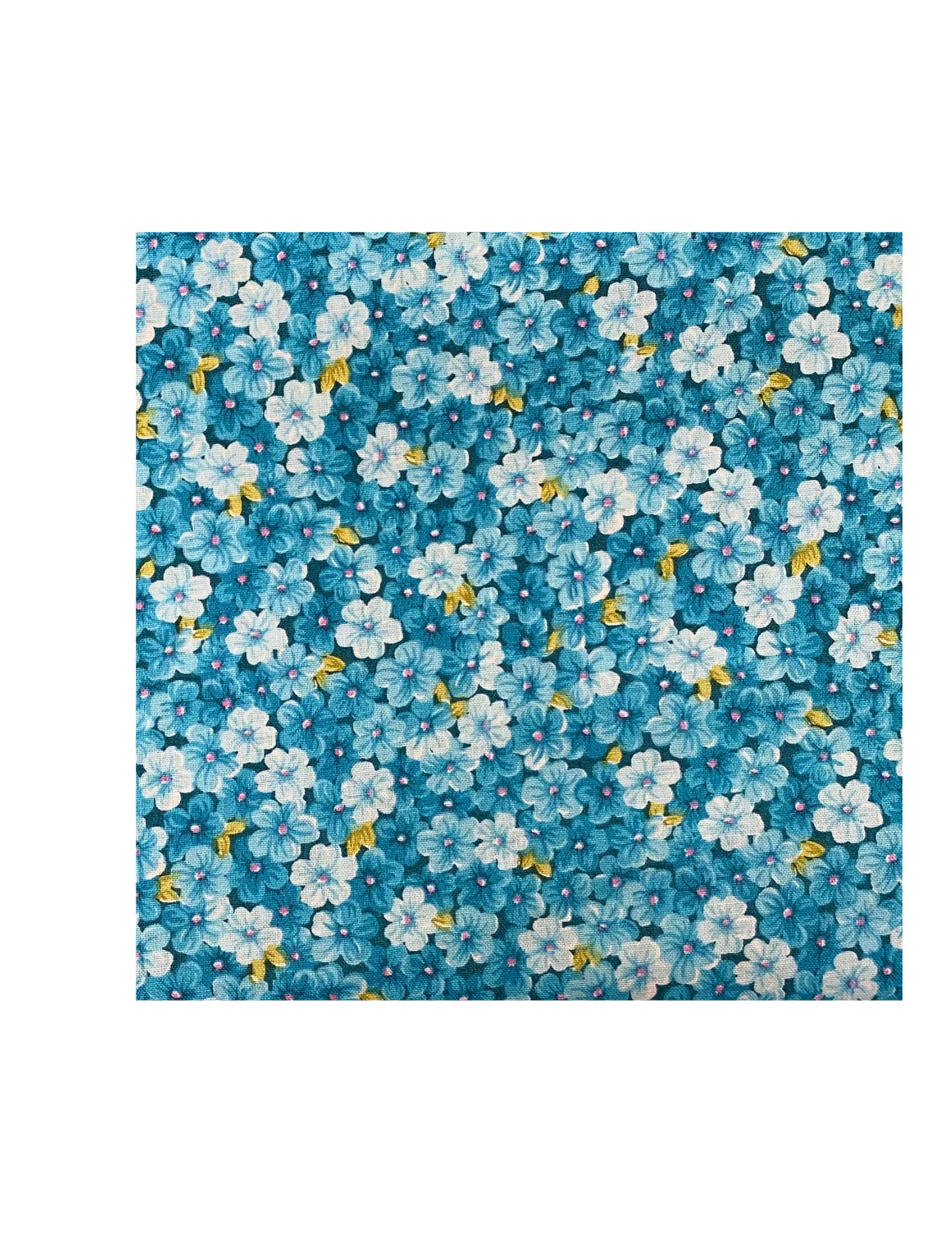 Aqua Forget Me Nots