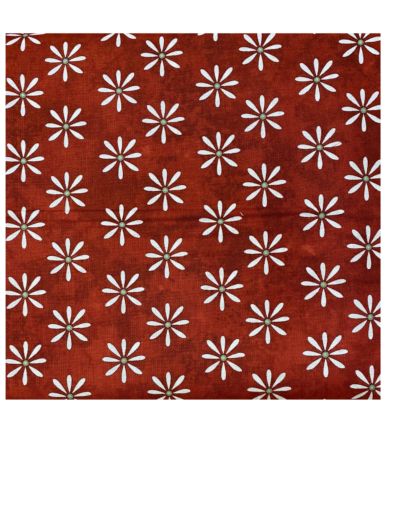 Red Daisy Cotton